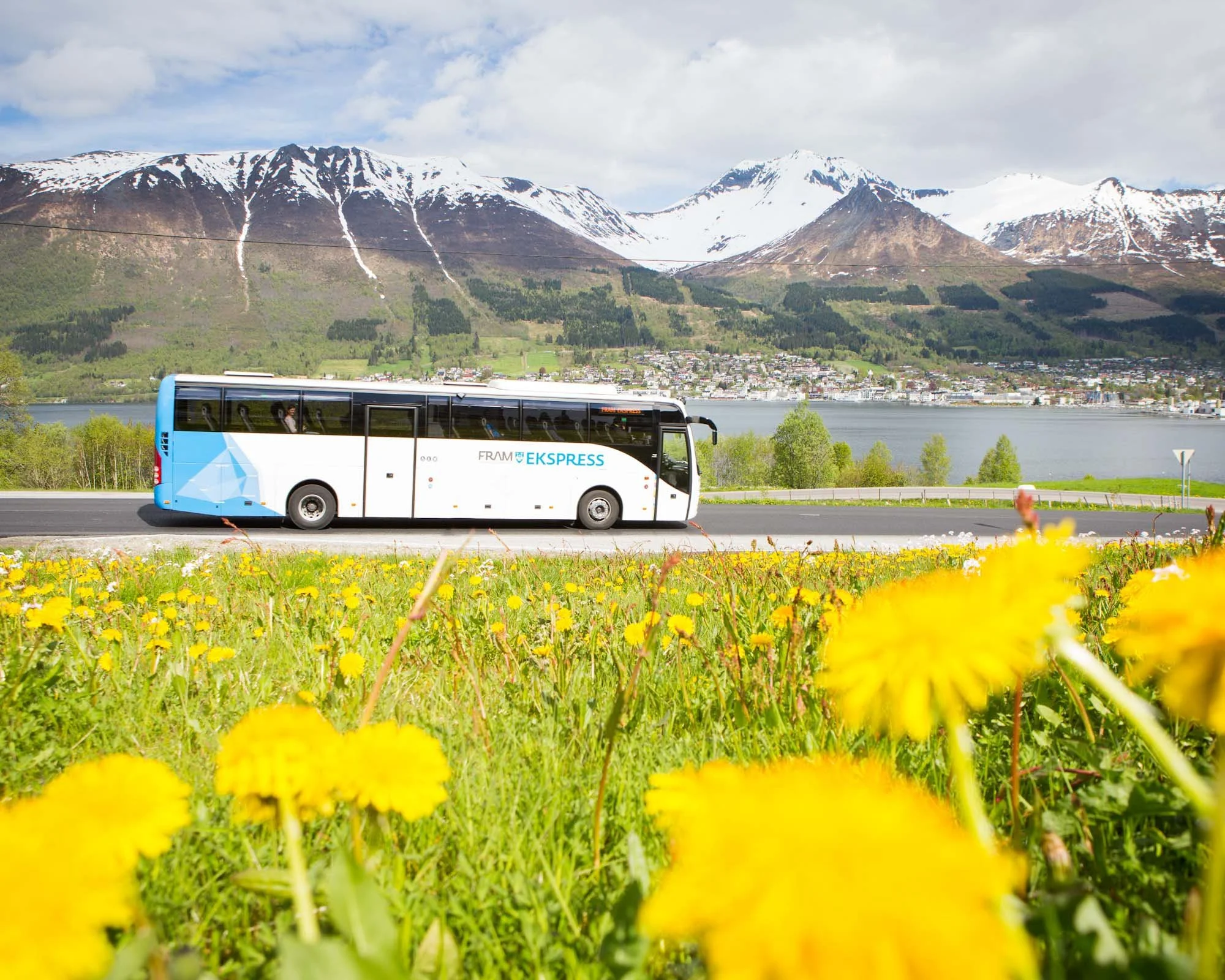 Buss