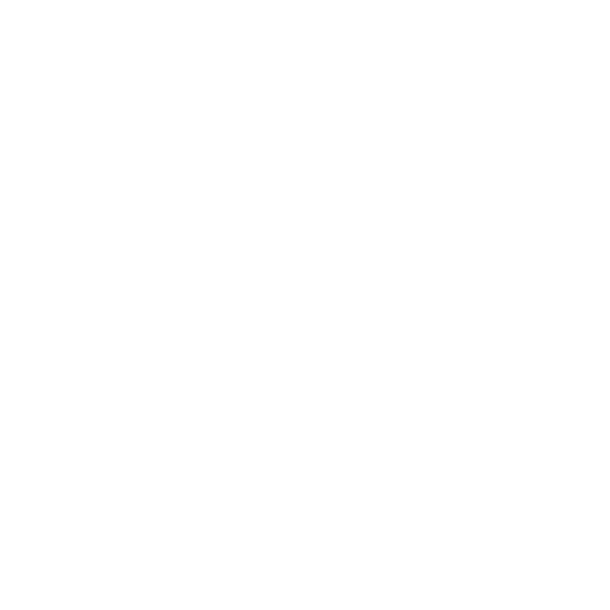 LINCOLN SENTRY LOGO