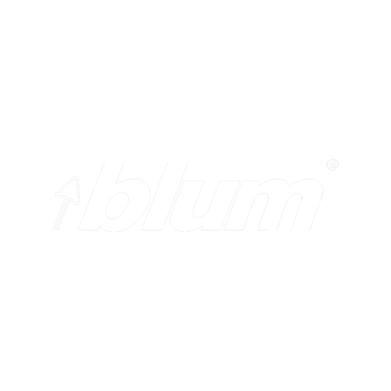 BLUM LOGO