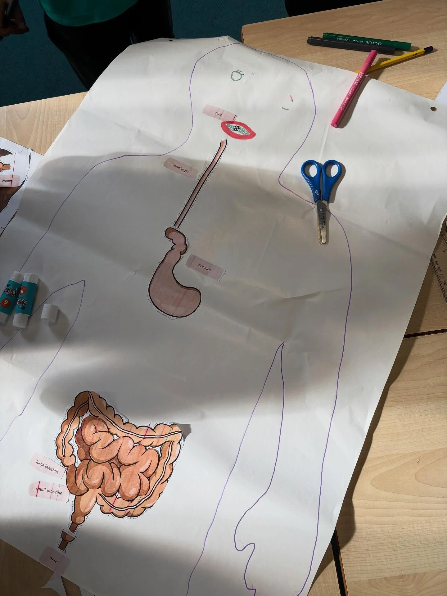 Kingfishers had a great time exploring the human digestive system in science this week!
#hebdenbridgeschoolsfederation #hebdenbridge