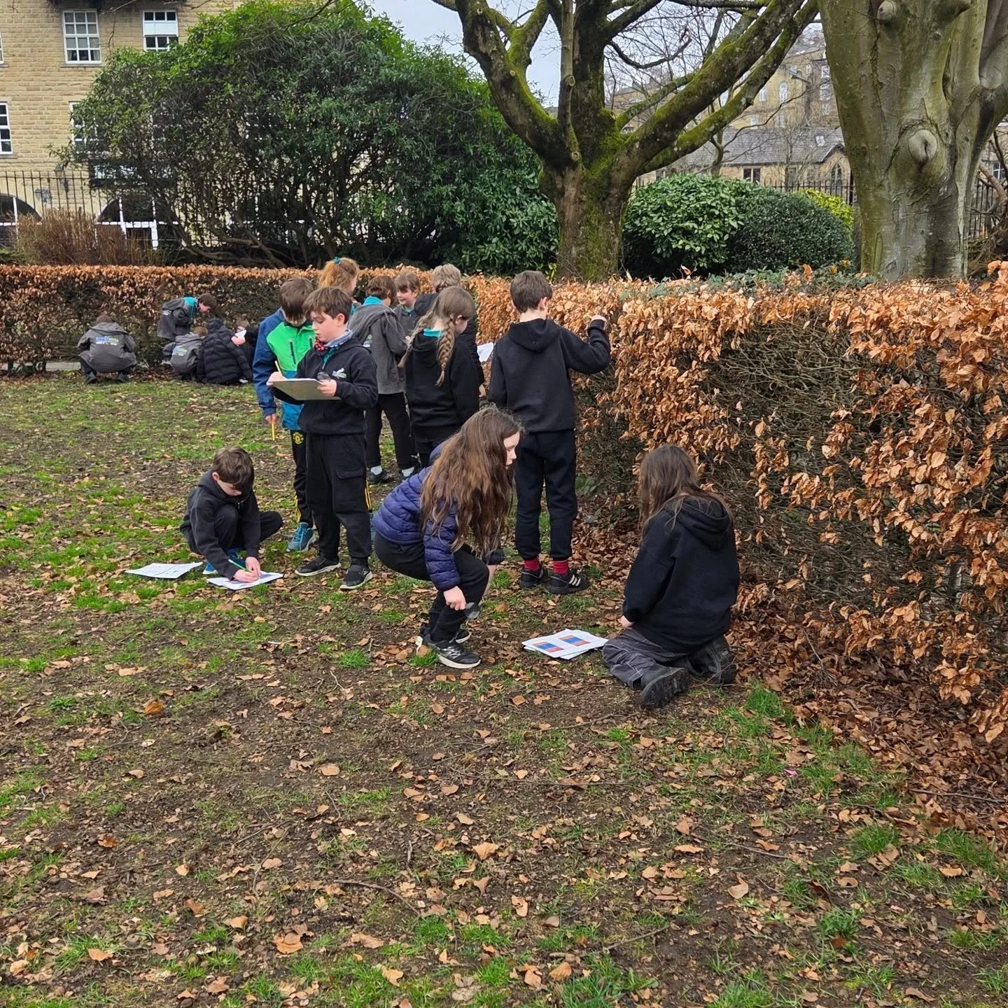 Year 5 and 6 have been celebrating British Science Week. This year's theme - Curiosity - What's your question?

Our question was, 'What invertebrates live in our local area?' We used field work and investigation to help us find out. 🐛🐞🕷🐜
