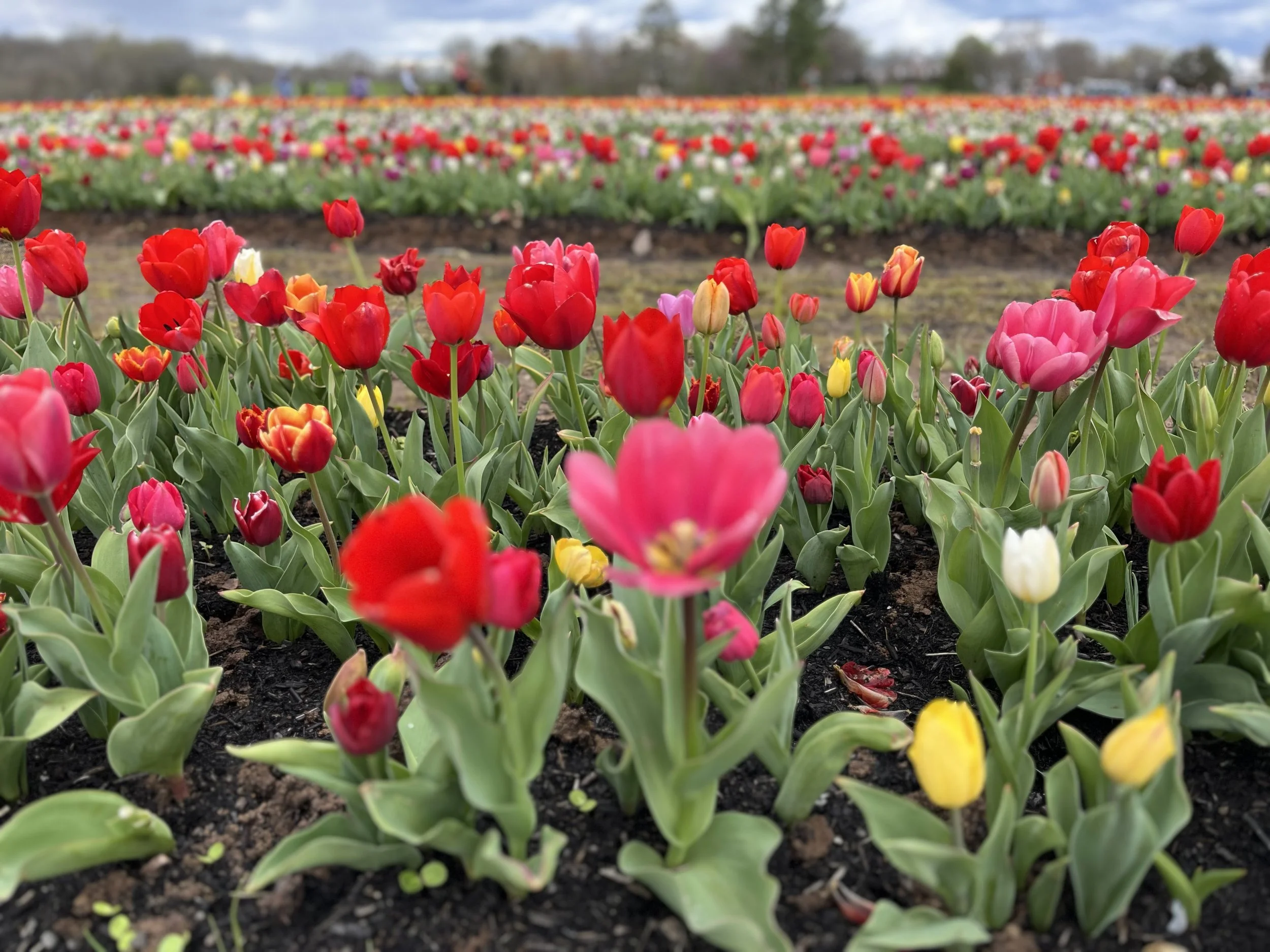 Making the unconscious conscious