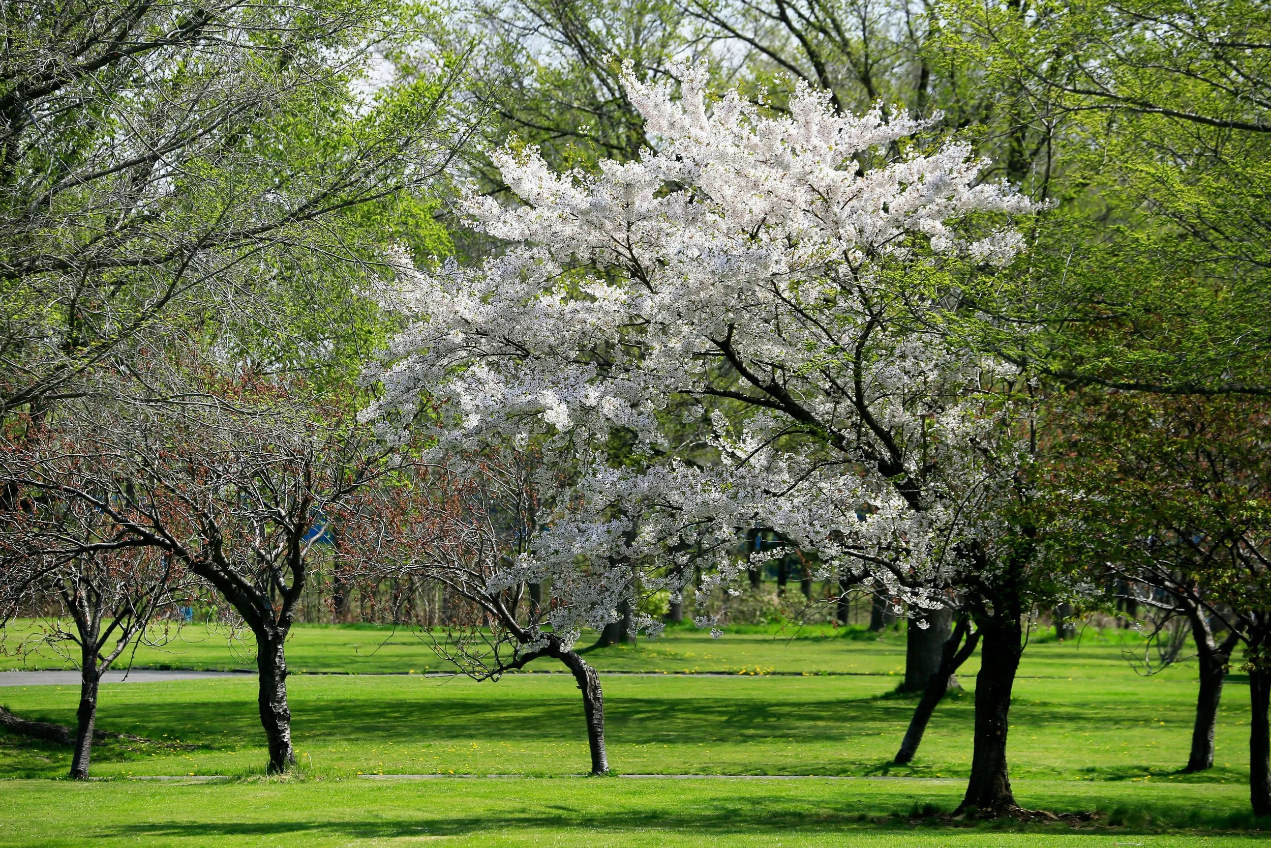 Time to update your beliefs