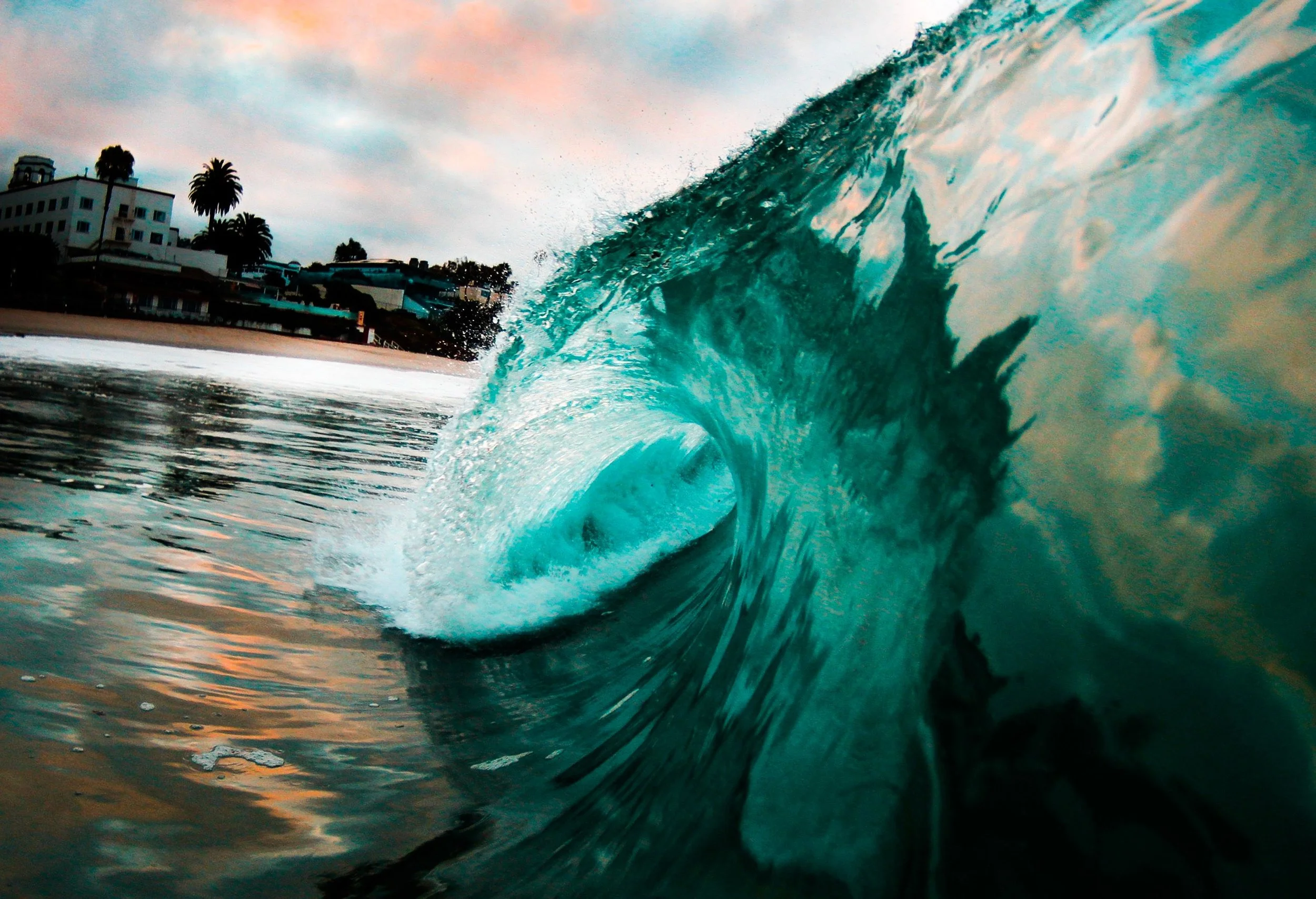 Riding the AI wave