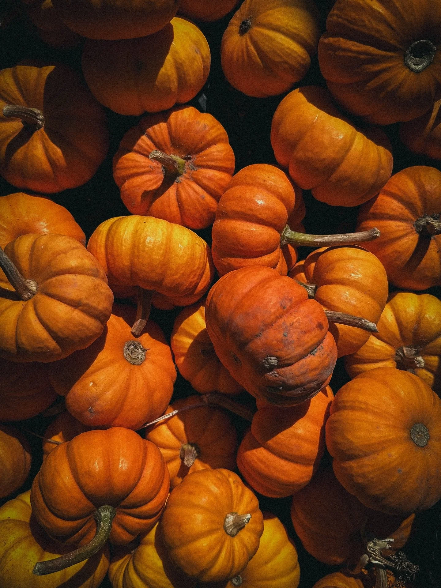 𝕺𝖈𝖙𝖔𝖇𝖊𝖗 𝖘𝖔 𝖋𝖆𝖗+ throwback to September 🎃