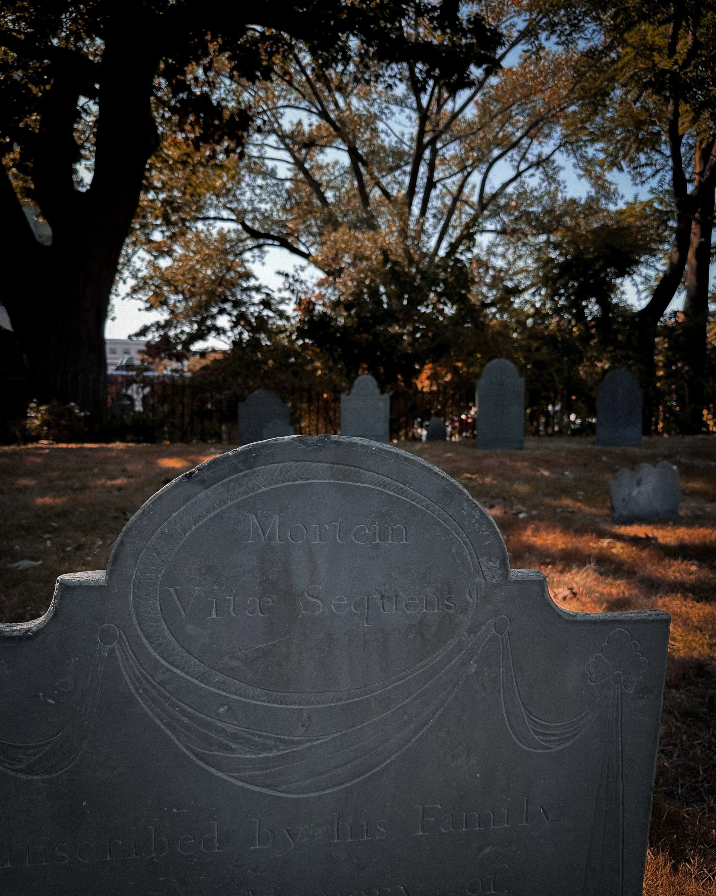Happy Autumn Equinox 🌙🍂🍁🎃
In celebration of the official start of fall, enjoy these pictures from spooky seasons past 🫶🏻 looking forward to partaking in the annual autumn traditions and making more memories this year.