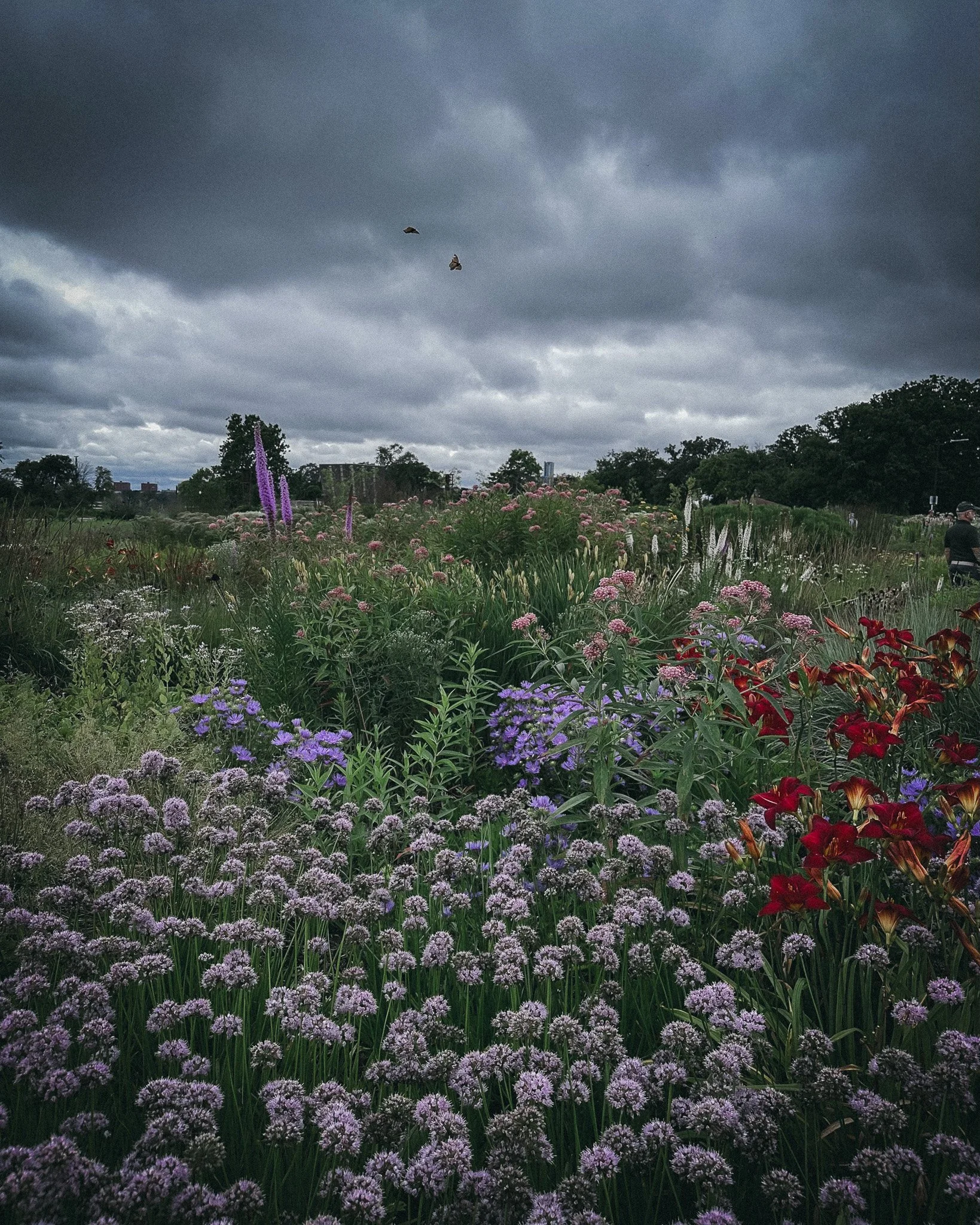 The garden of Belle Isle on a cloudy day with butterflies flying across the sky.