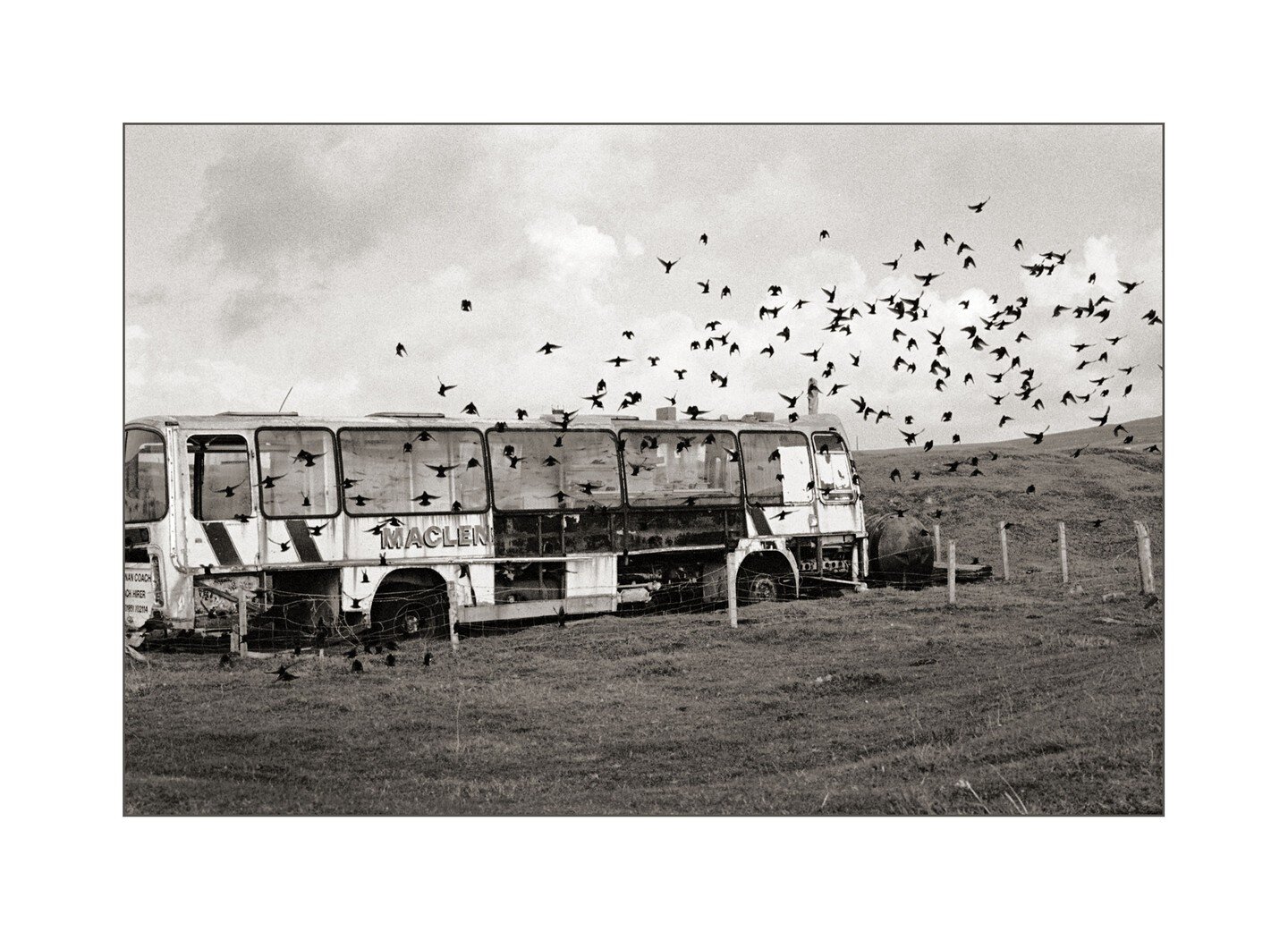 Scout&rsquo;s bus and starlings. Scarista, Isle of Harris. Old bus once used by Boy Scouts as a base for summer camps. #scarista #oldbus #isleofharris #boyscouts #starlings #outerhebrides #nikonfm2n #nikkor50mmf12 #nikkorais #filmslr #kodaktrix #trix