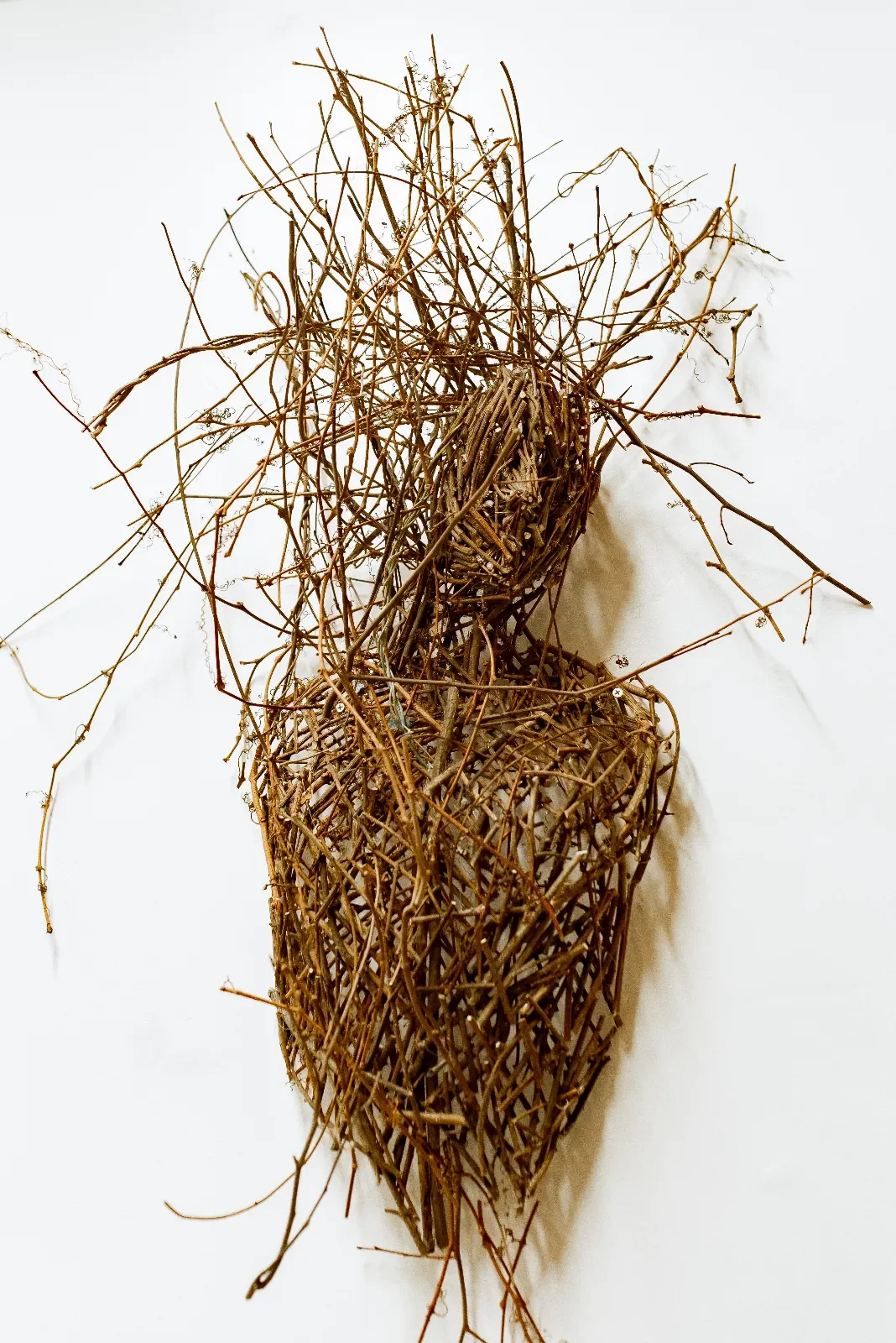 Greenhouse Projects: Revitalizing Abandoned Urban Spaces