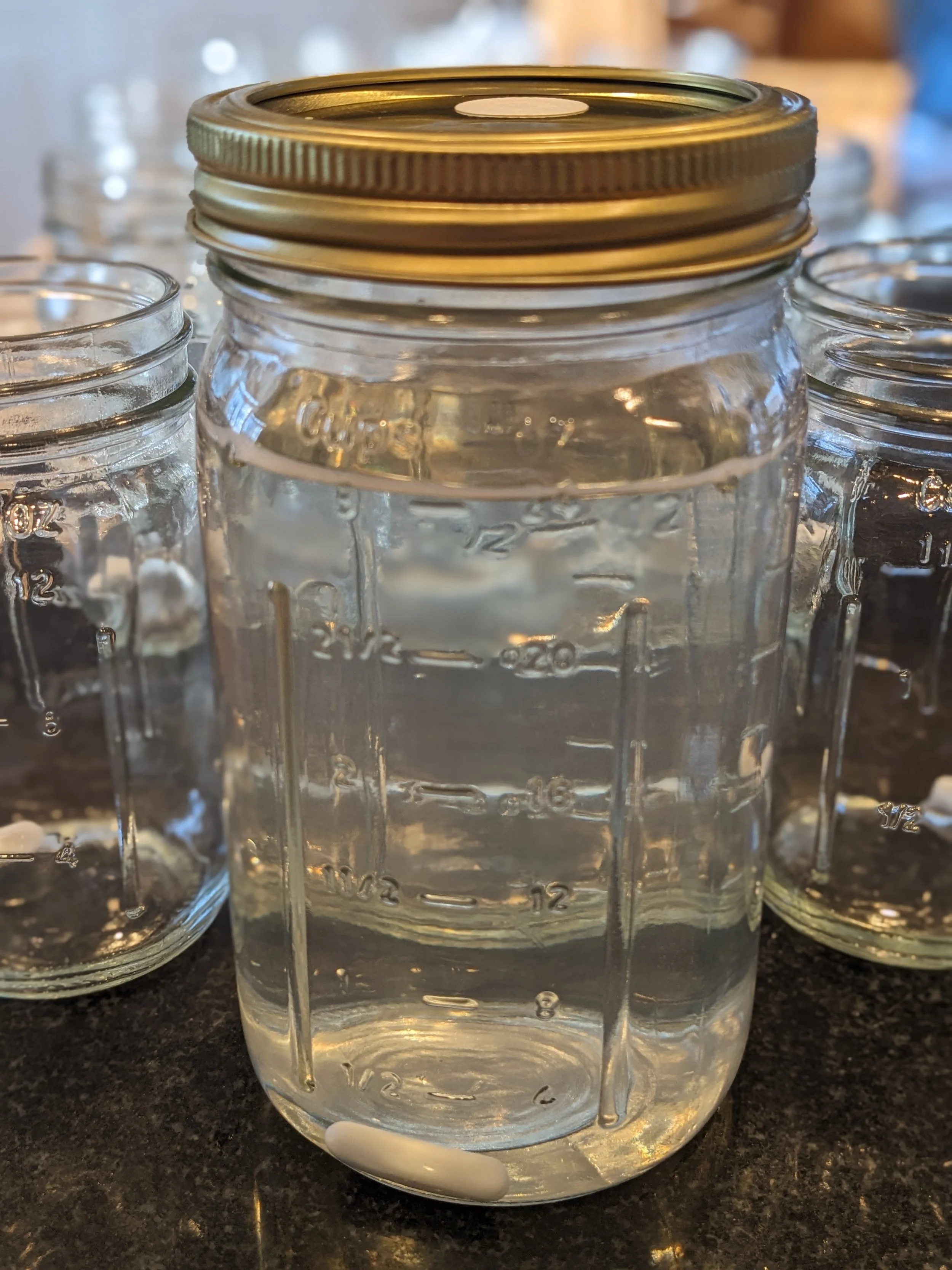 Liquid Culture Quart Jar x2