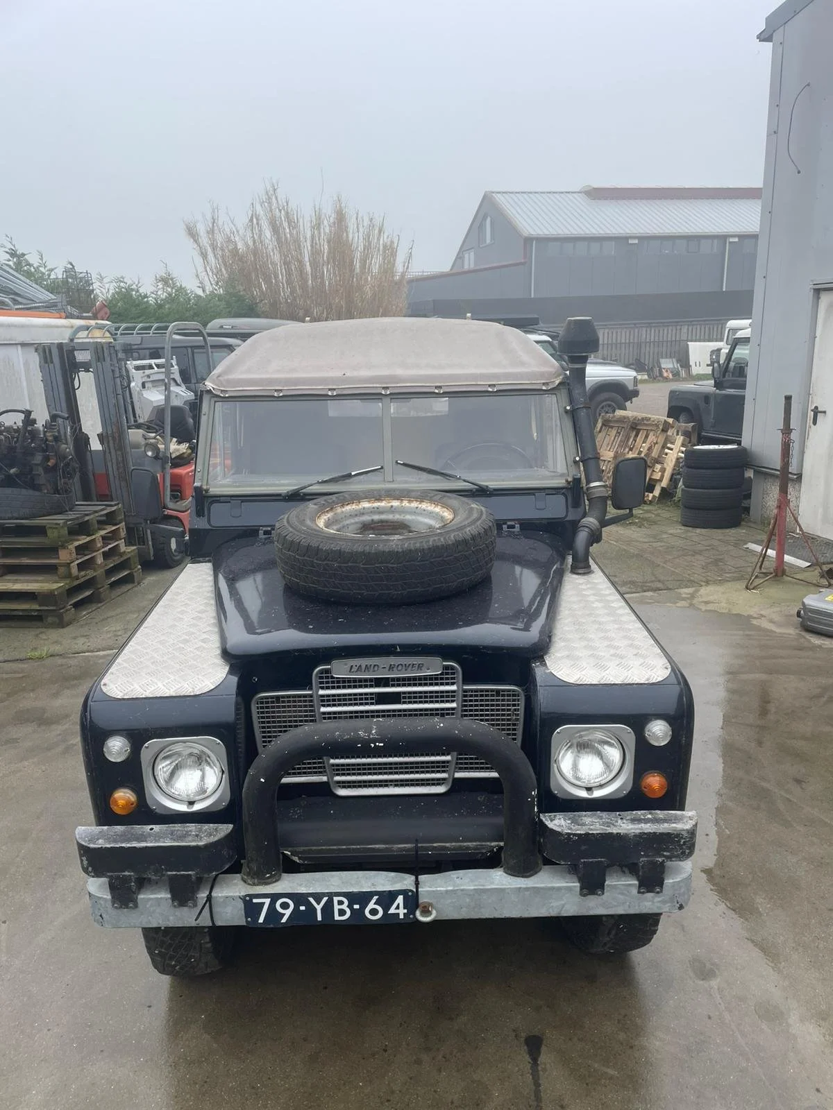 PHOTO-2025-02-05-08-00-41 2.jpg