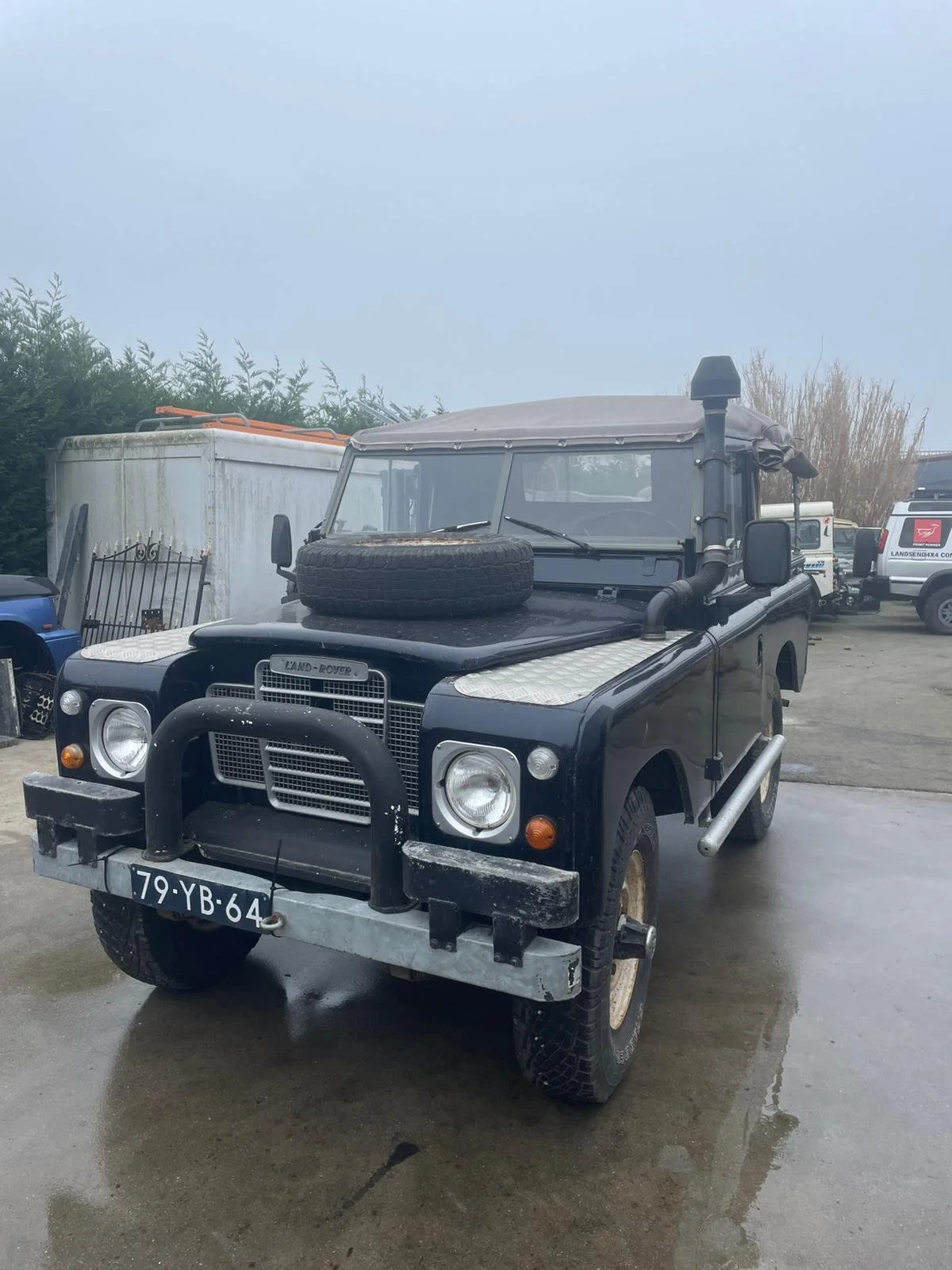 PHOTO-2025-02-05-08-00-41 9.jpg