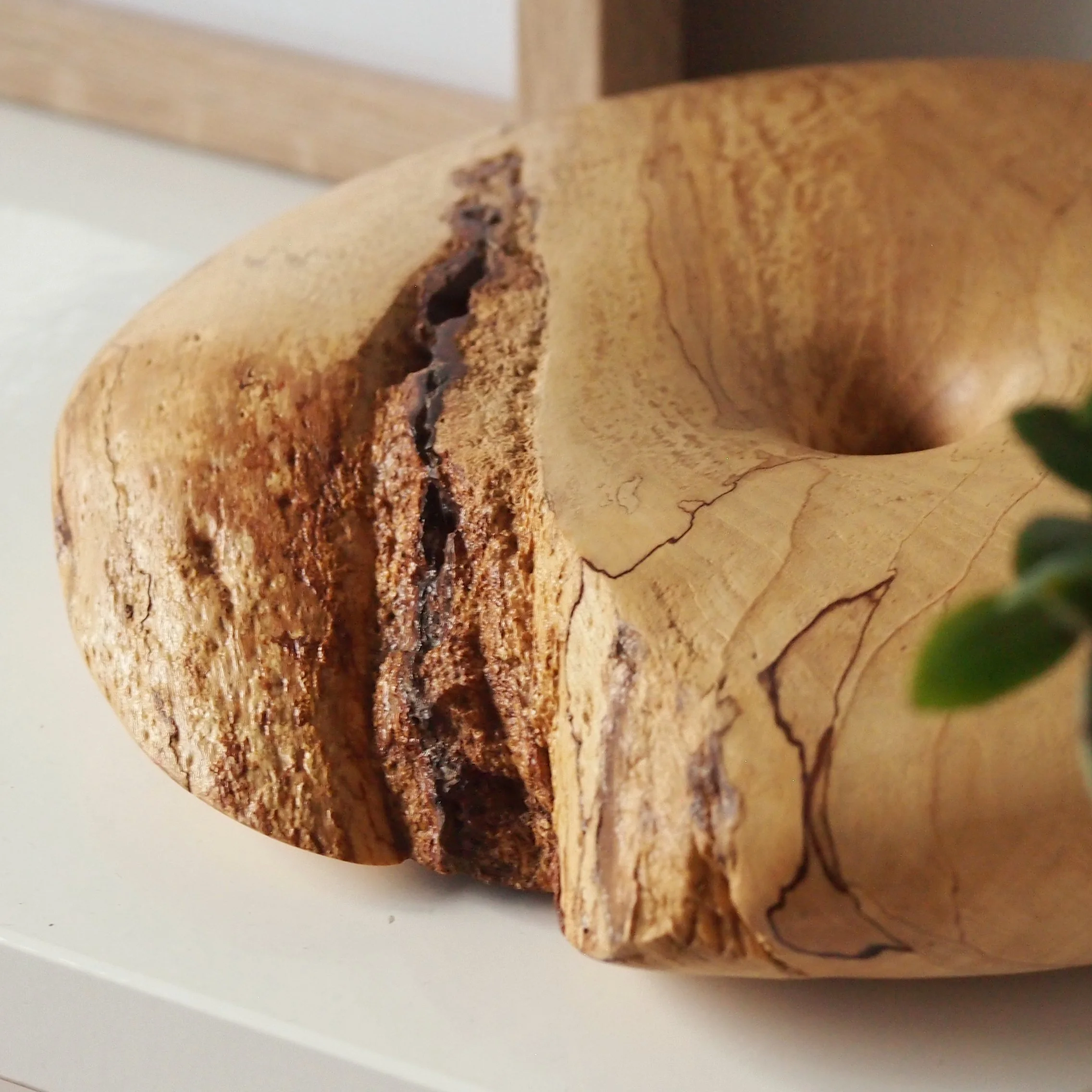 fractured torus form