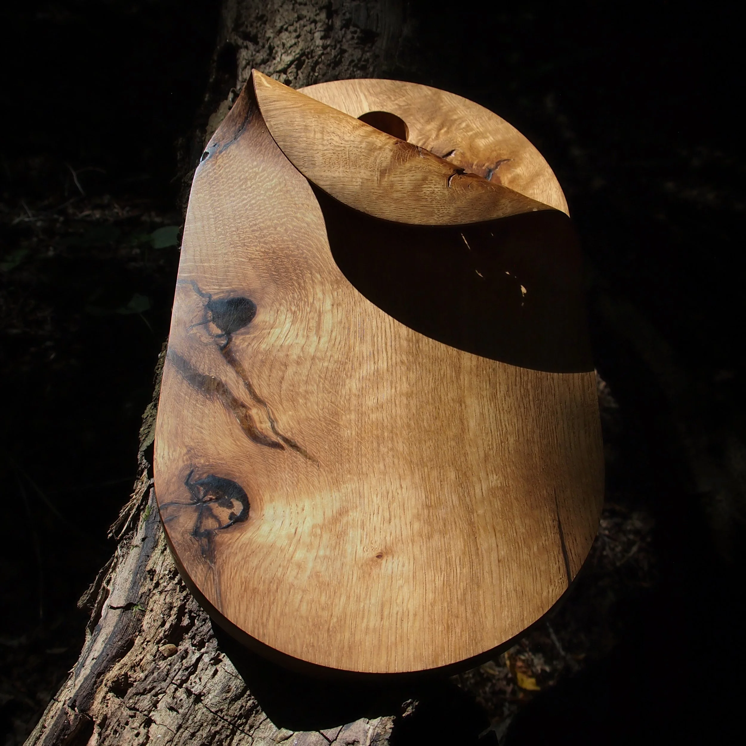 P1018867.jpg