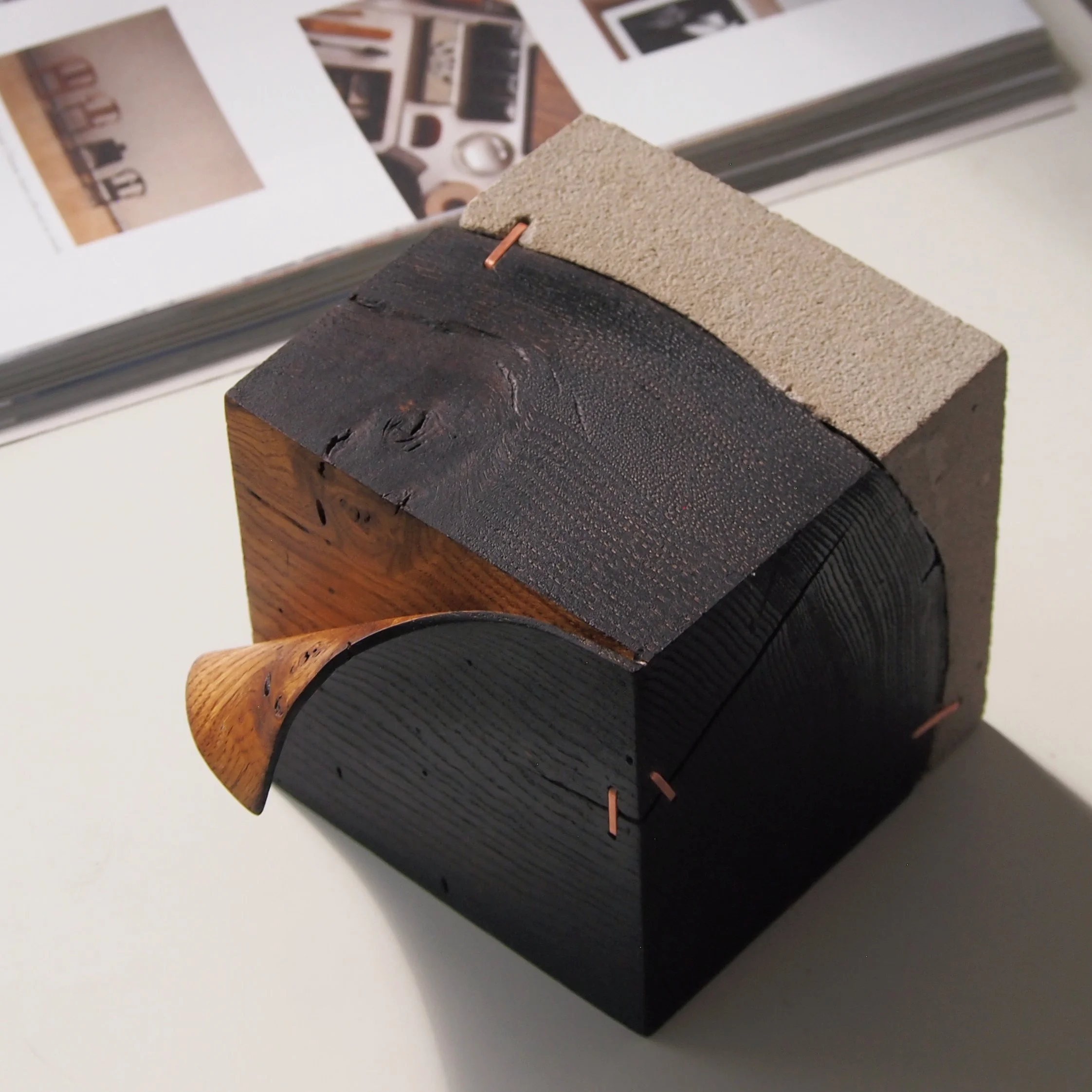 P1010858.jpg