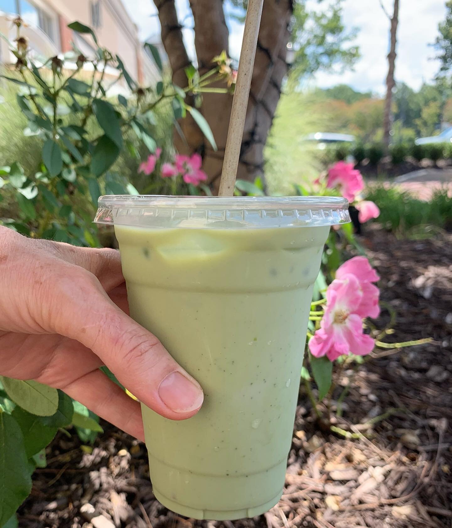 Come grab an Iced Matcha Latte to cool down 🌱
Perfectly refreshing with substitute milks, like Almond or Oat 🌸
.
.
.
#cafe #matcha #latte #drink #drinks