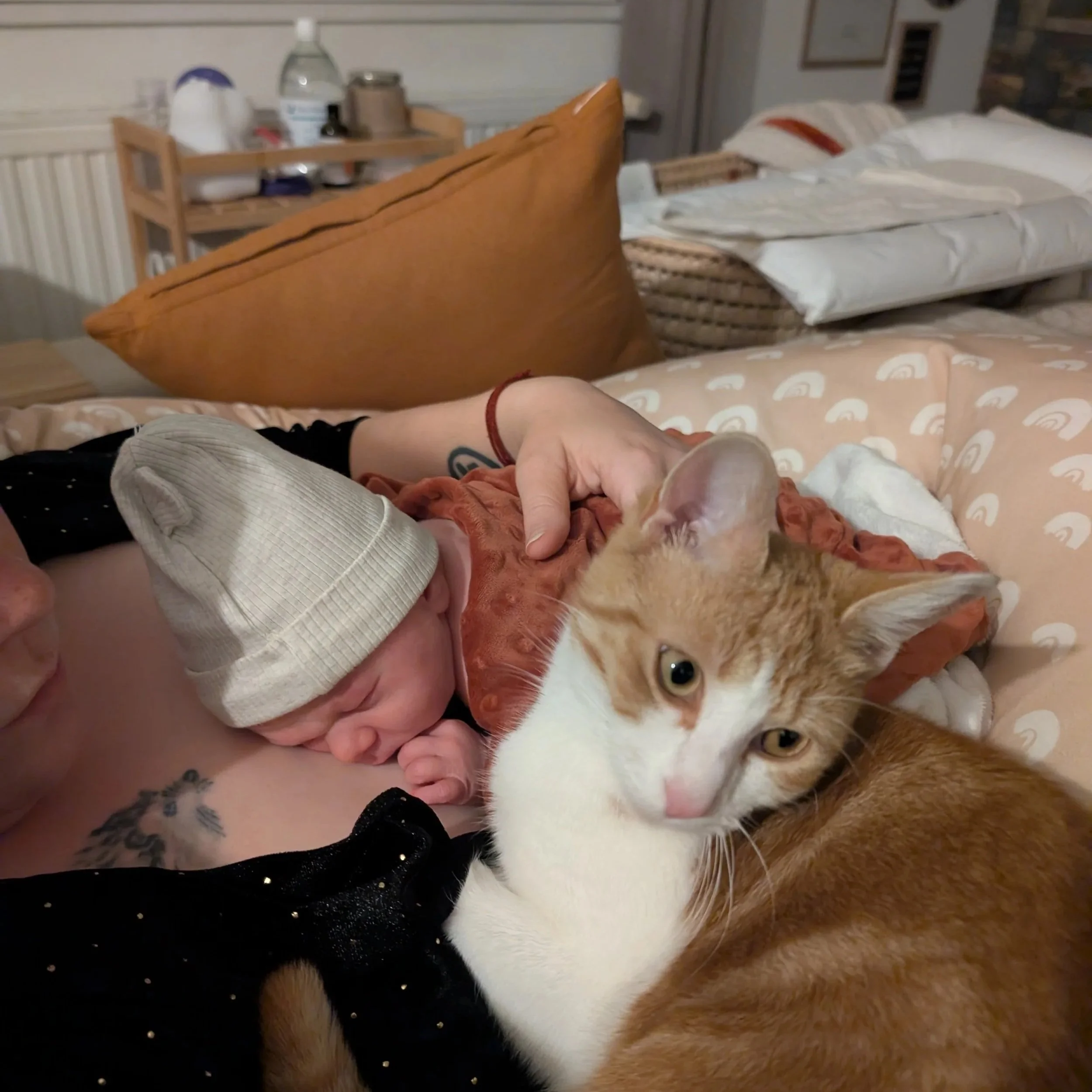 J’ai accouché à domicile à Toulouse