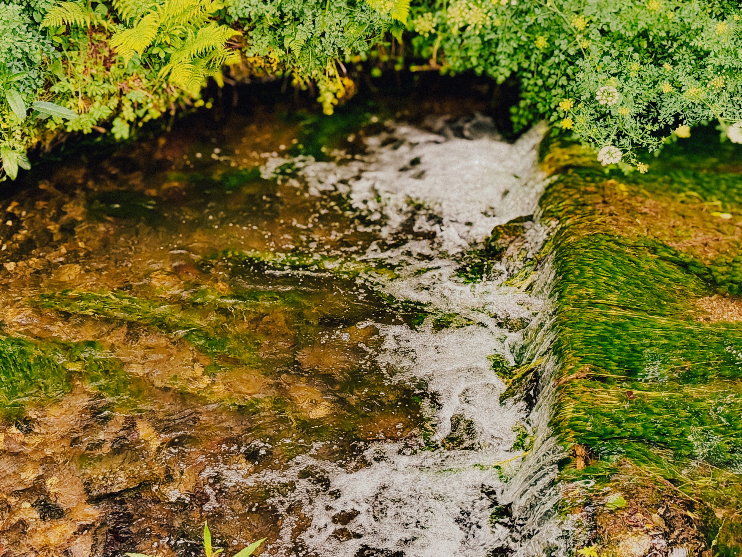 DJI_20250521_101725_307.jpg