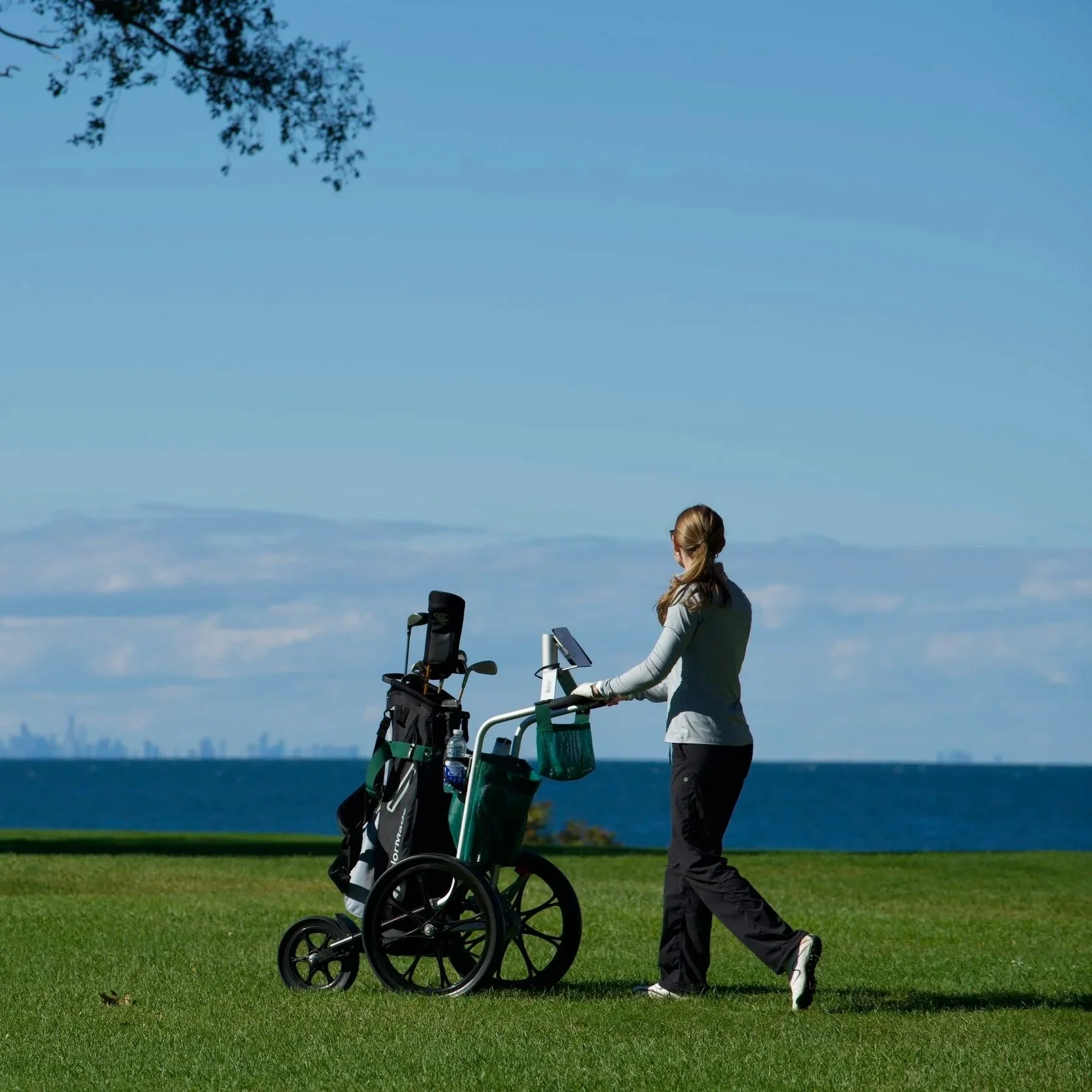 Esprit Push Cart