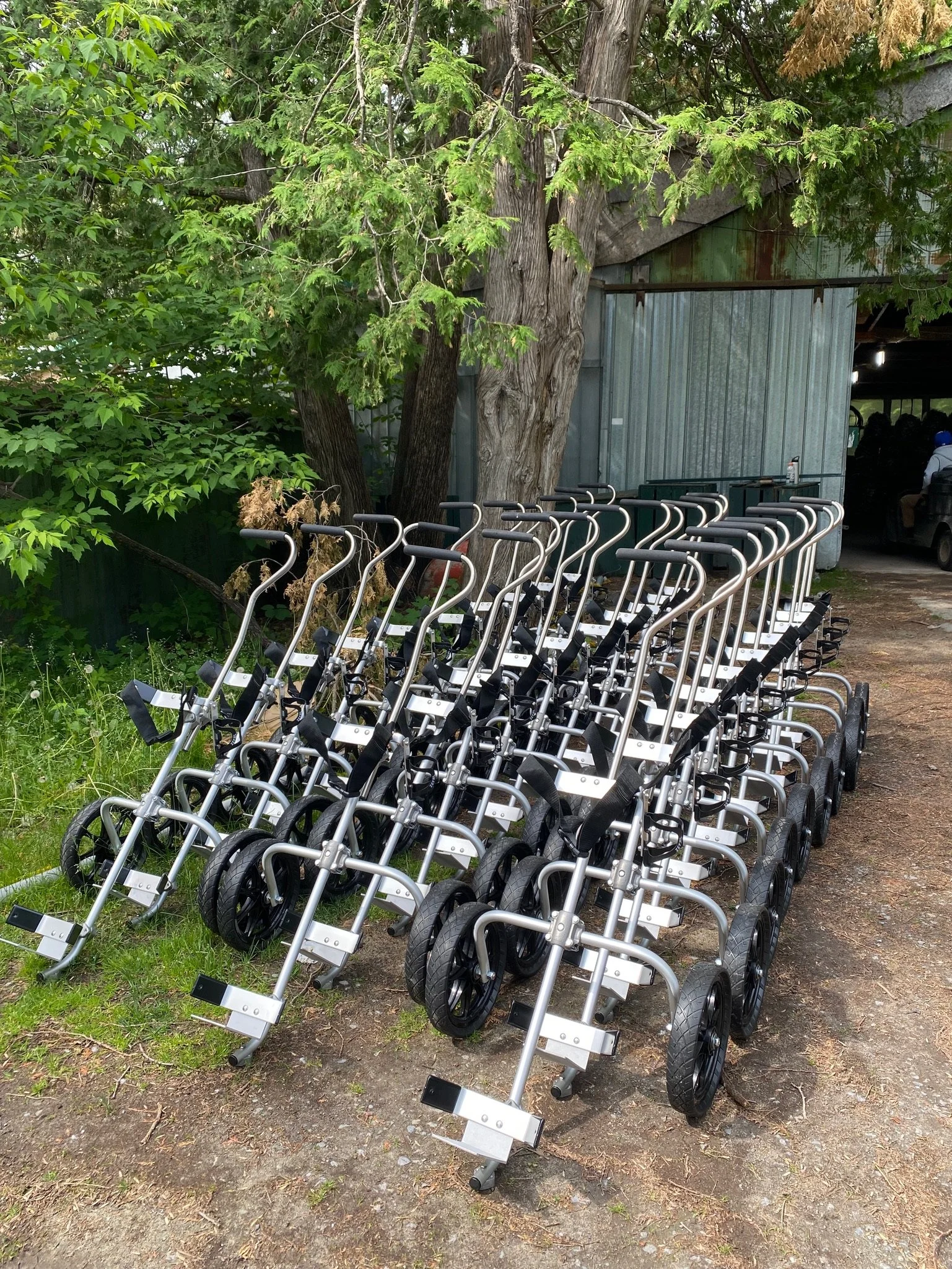 LoBoy Fleet.jpg
