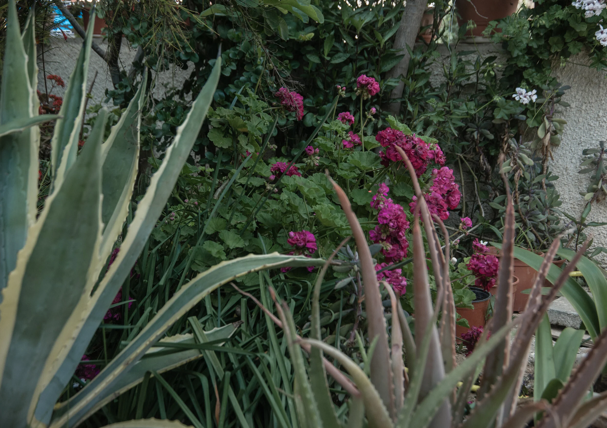 DRAFT1-LEFT BEHIND_Page_16.jpg