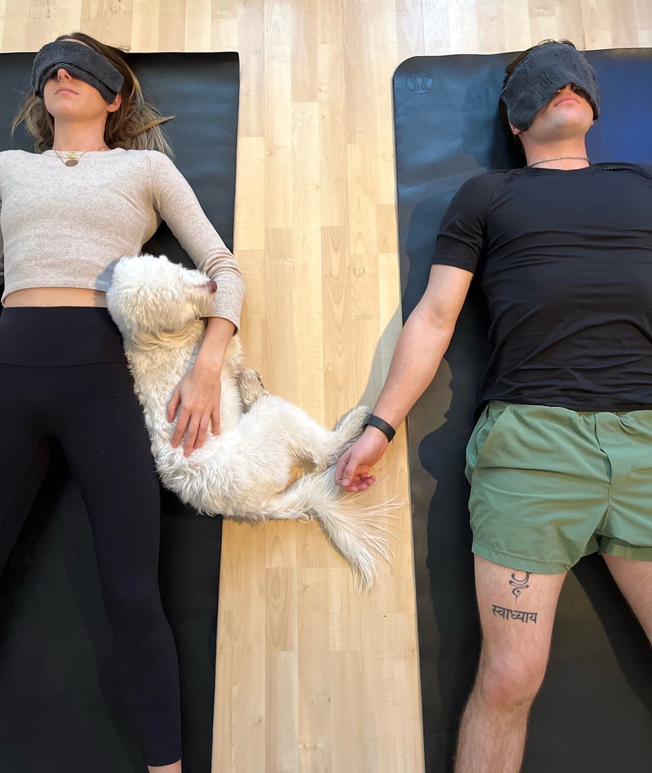 ~ Yoga Nidra ~
⠀⠀⠀⠀⠀⠀⠀⠀⠀
We've added some deep, intentional rest to the schedule.
⠀⠀⠀⠀⠀⠀⠀⠀⠀
Every Wednesay at 8pm, join Bailey for a beautiful restorative journey into the heart, connecting with your authentic desires through the powerful practice of