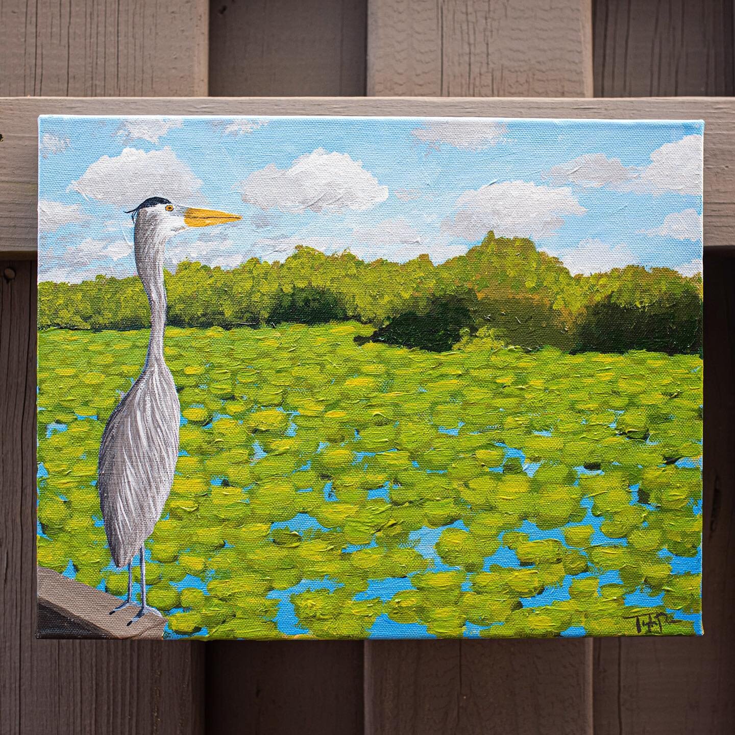 Landscape Painting of the Florida Everglades on 11x14x1.5 inch canvas available NOW on my website!

#originalart #originalartwork #originalartforsale #originalartforsalebyartist #shopsmall #shopsmallbusiness #supportsmallbusinesses #landscapepainting