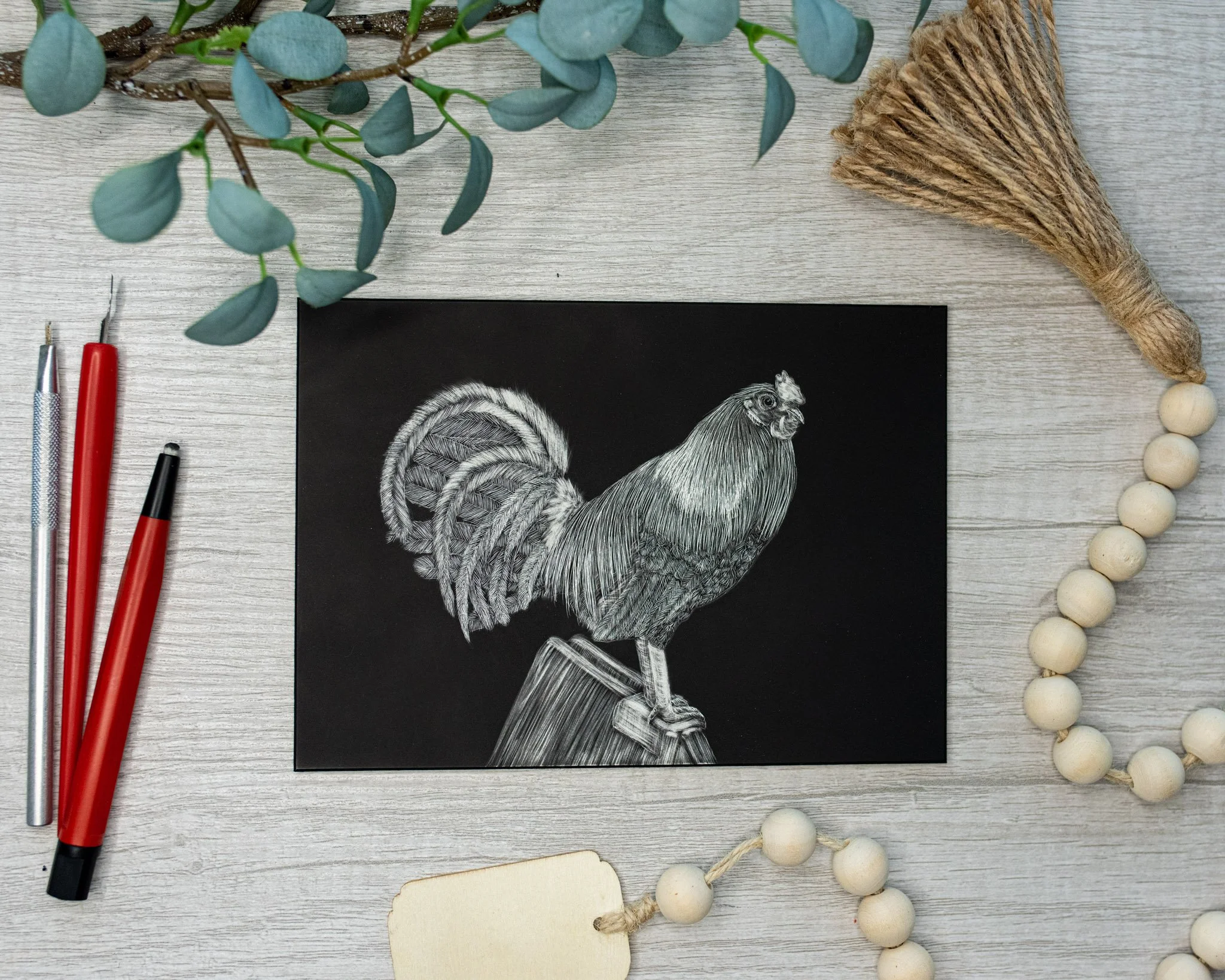 Chicken #9 Scratchboard