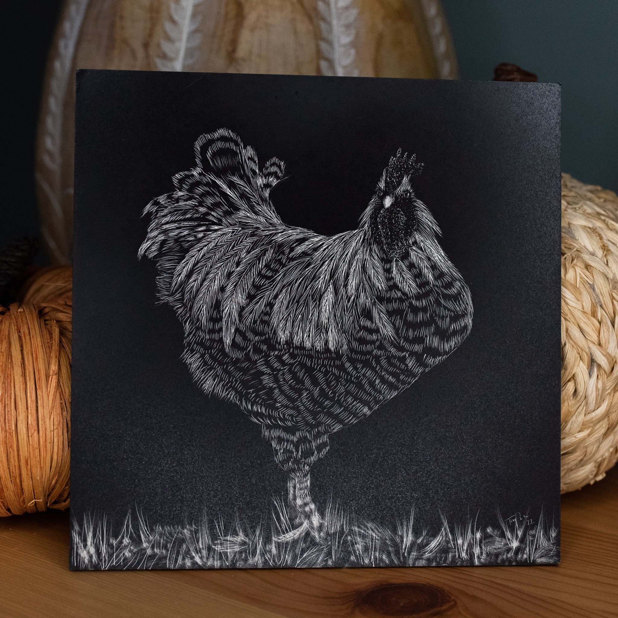 chicken1-scratchboard-taylordaydesigns-11.jpg