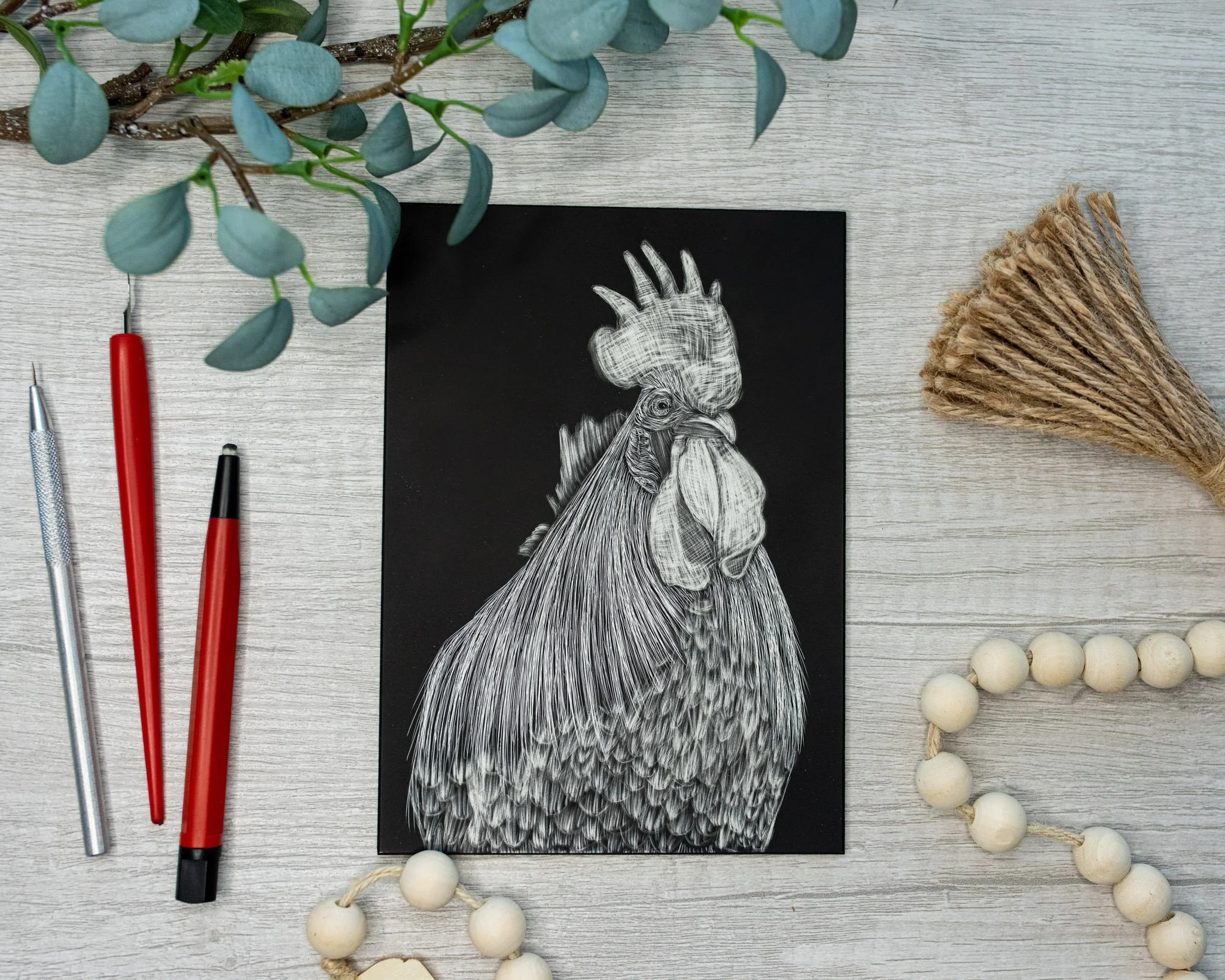 Chicken #10 Scratchboard