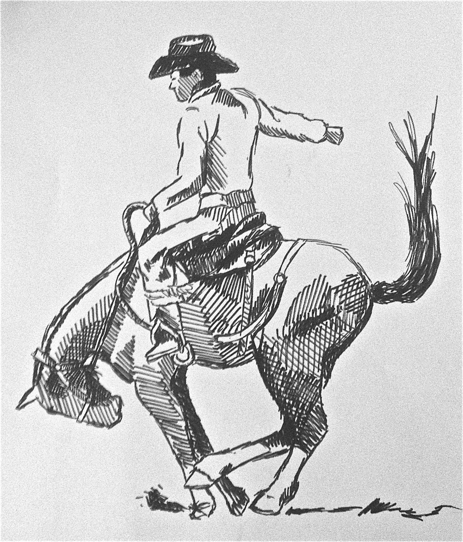 photo_1.jpg