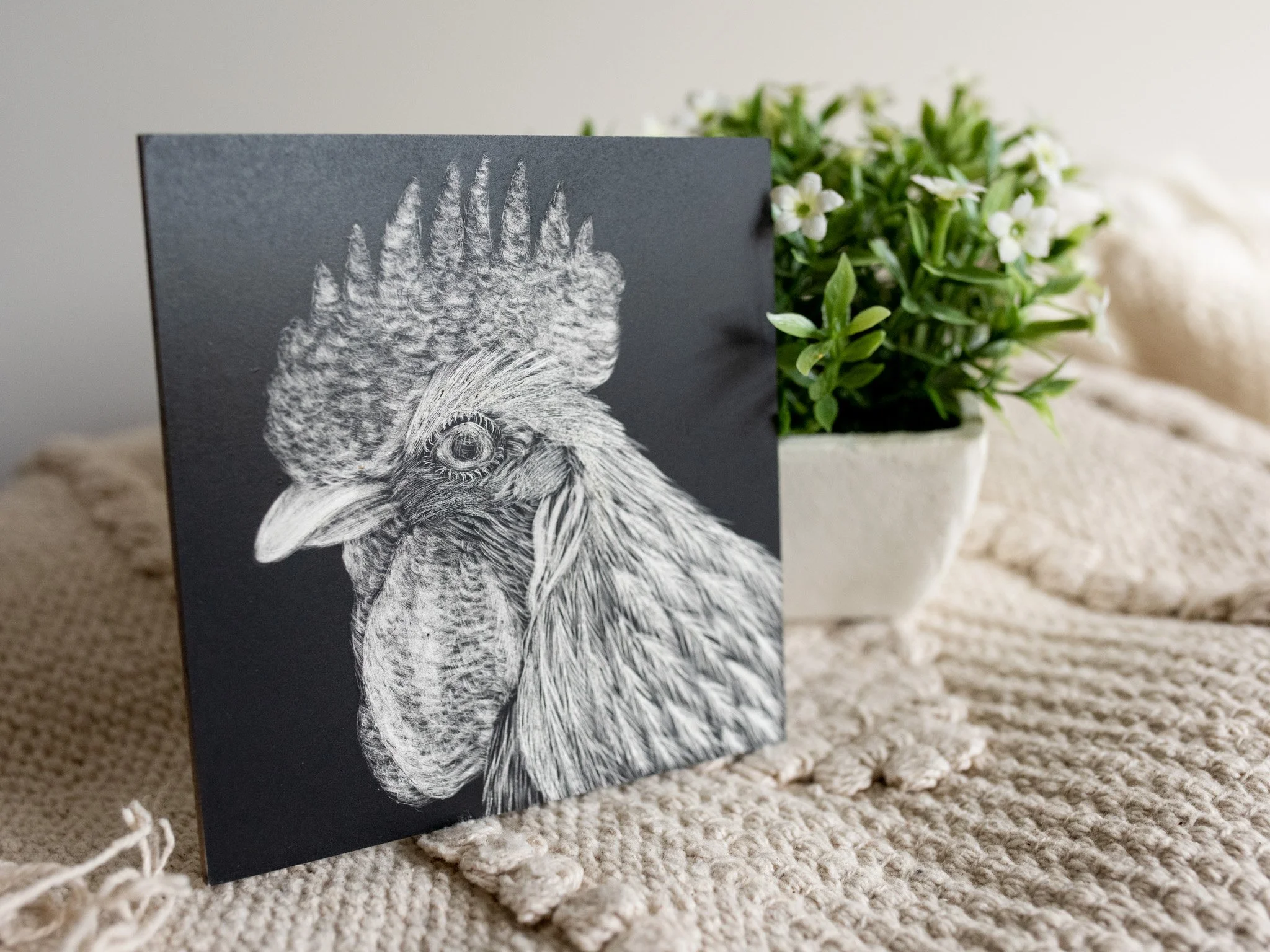 Chicken #6 Scratchboard