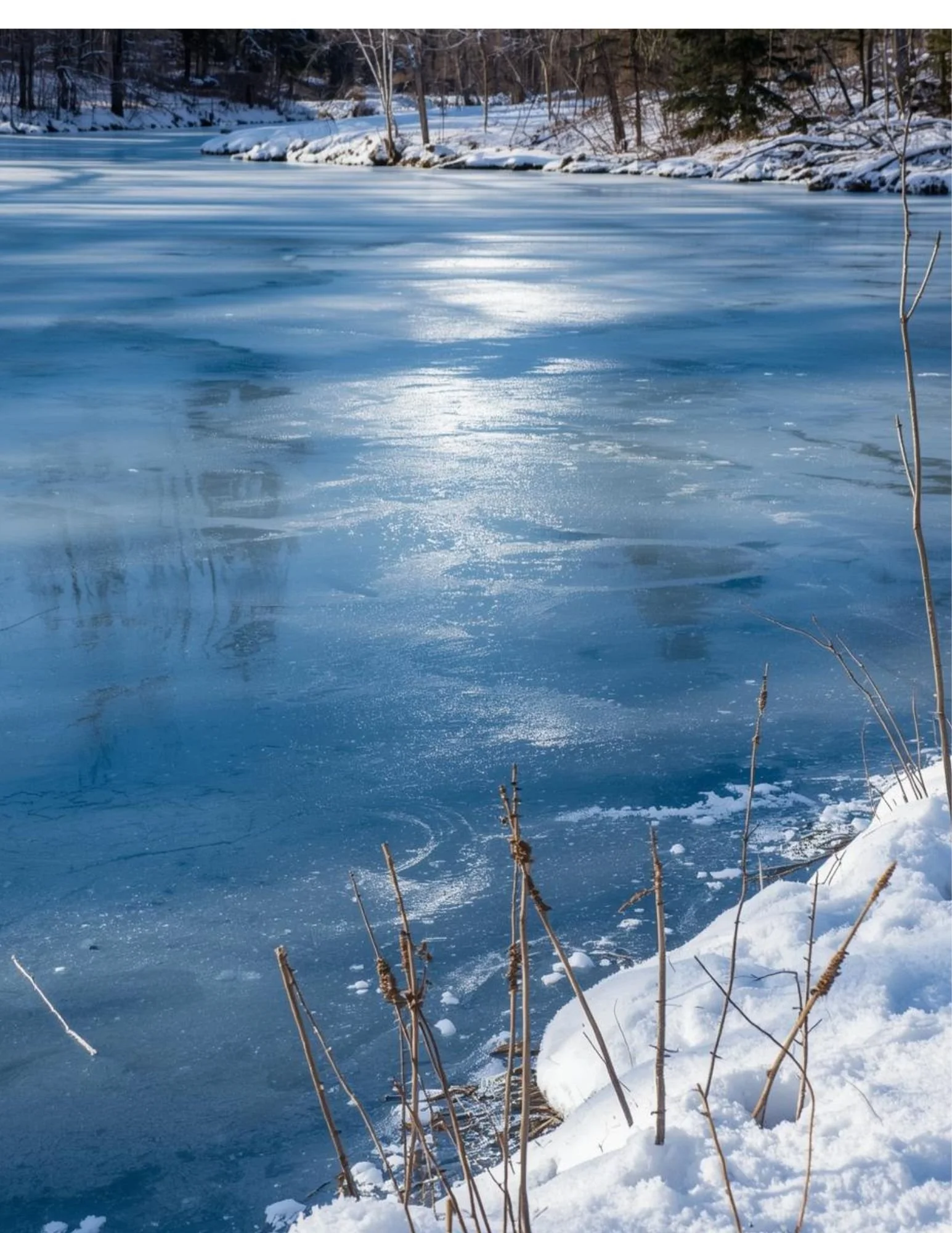 Meeteetse Messenger - January 21,2026 