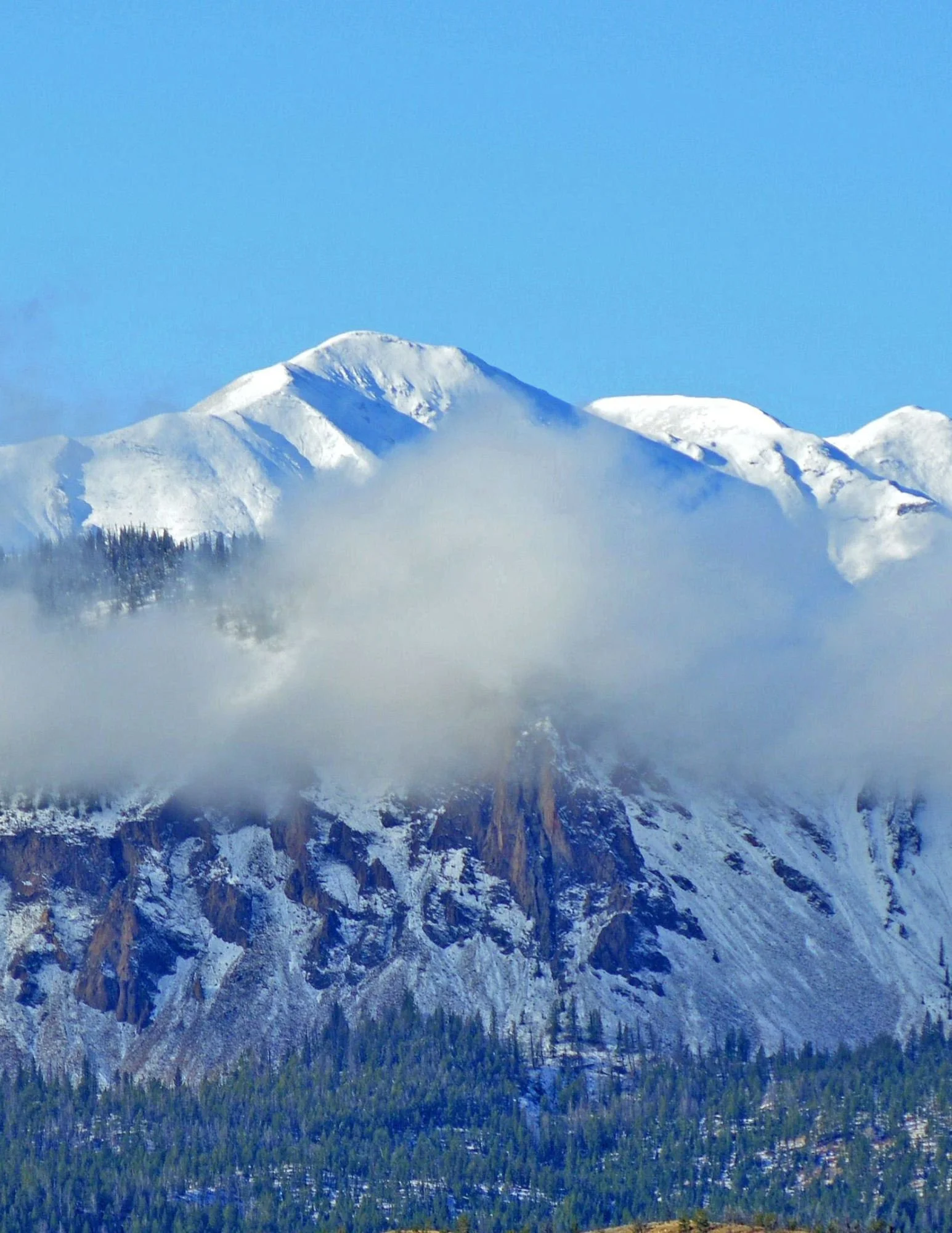 Meeteetse Messenger - January 28, 2026