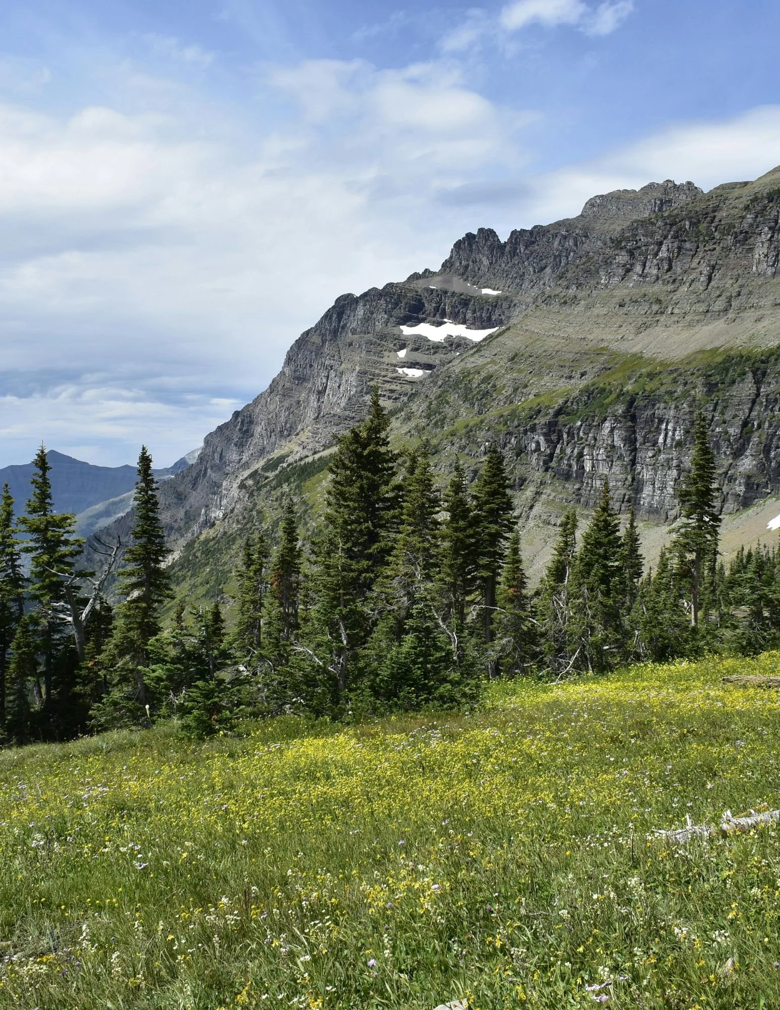 Meeteetse Messenger - February 25, 2026