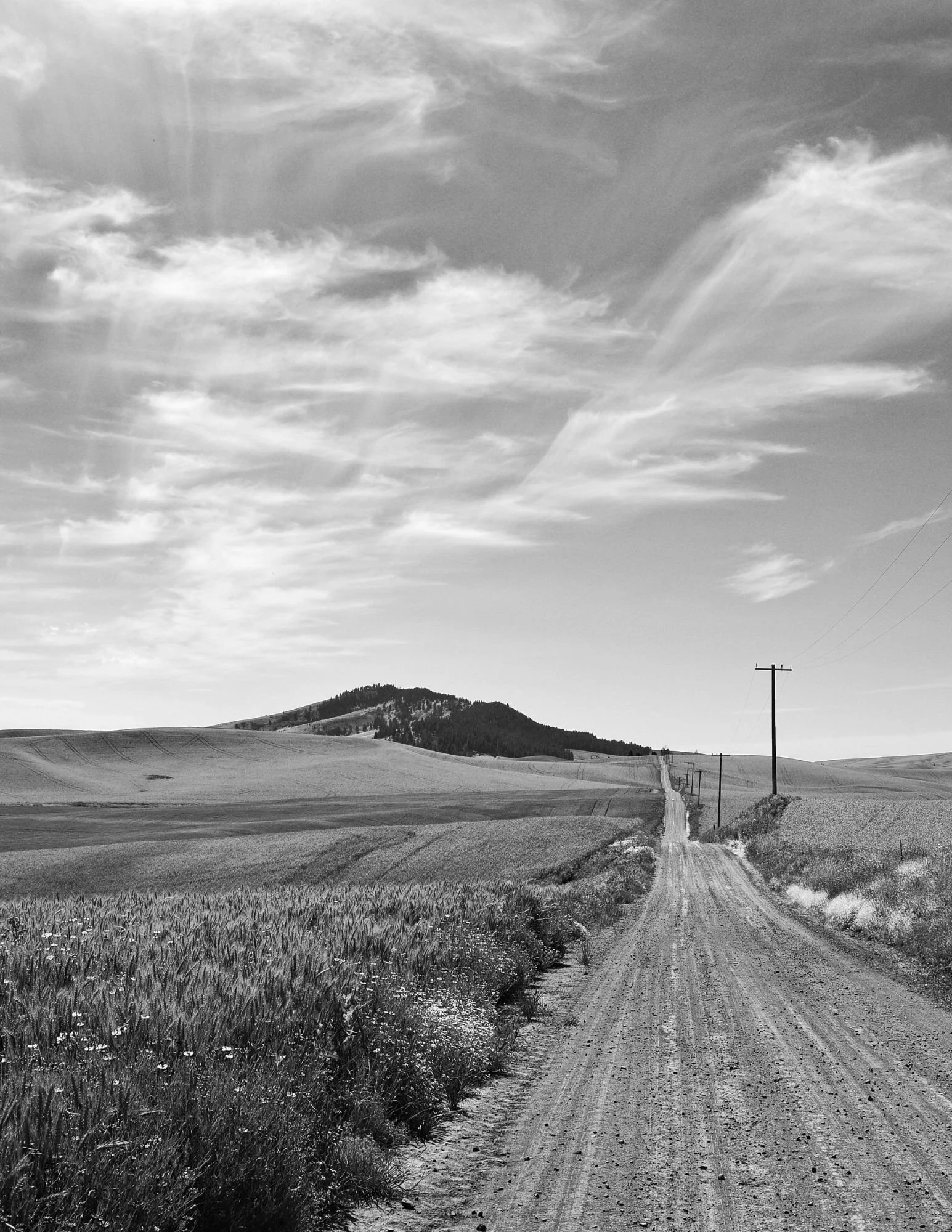 Meeteetse Messenger - March 18, 2026