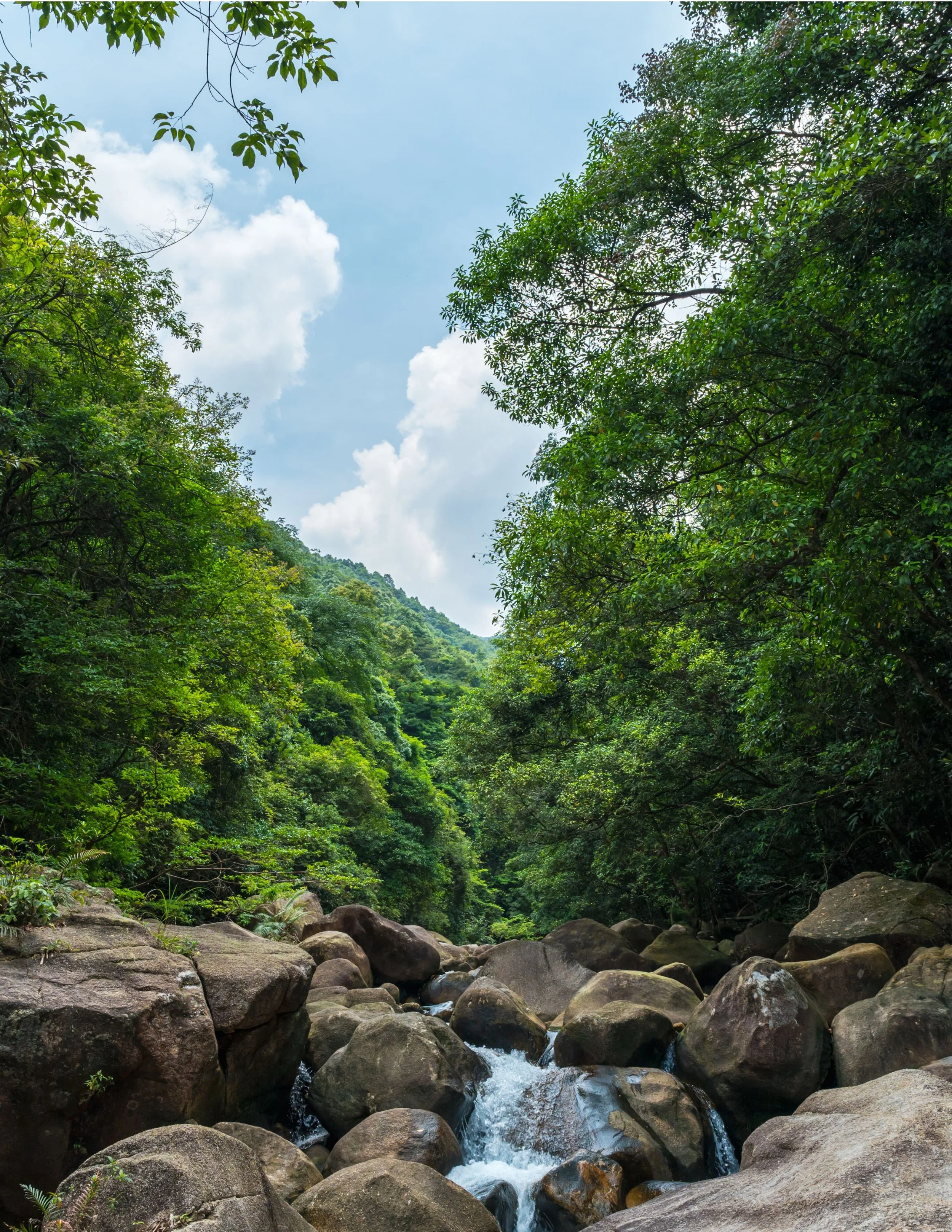 Meeteetse Messenger - April 8, 2026