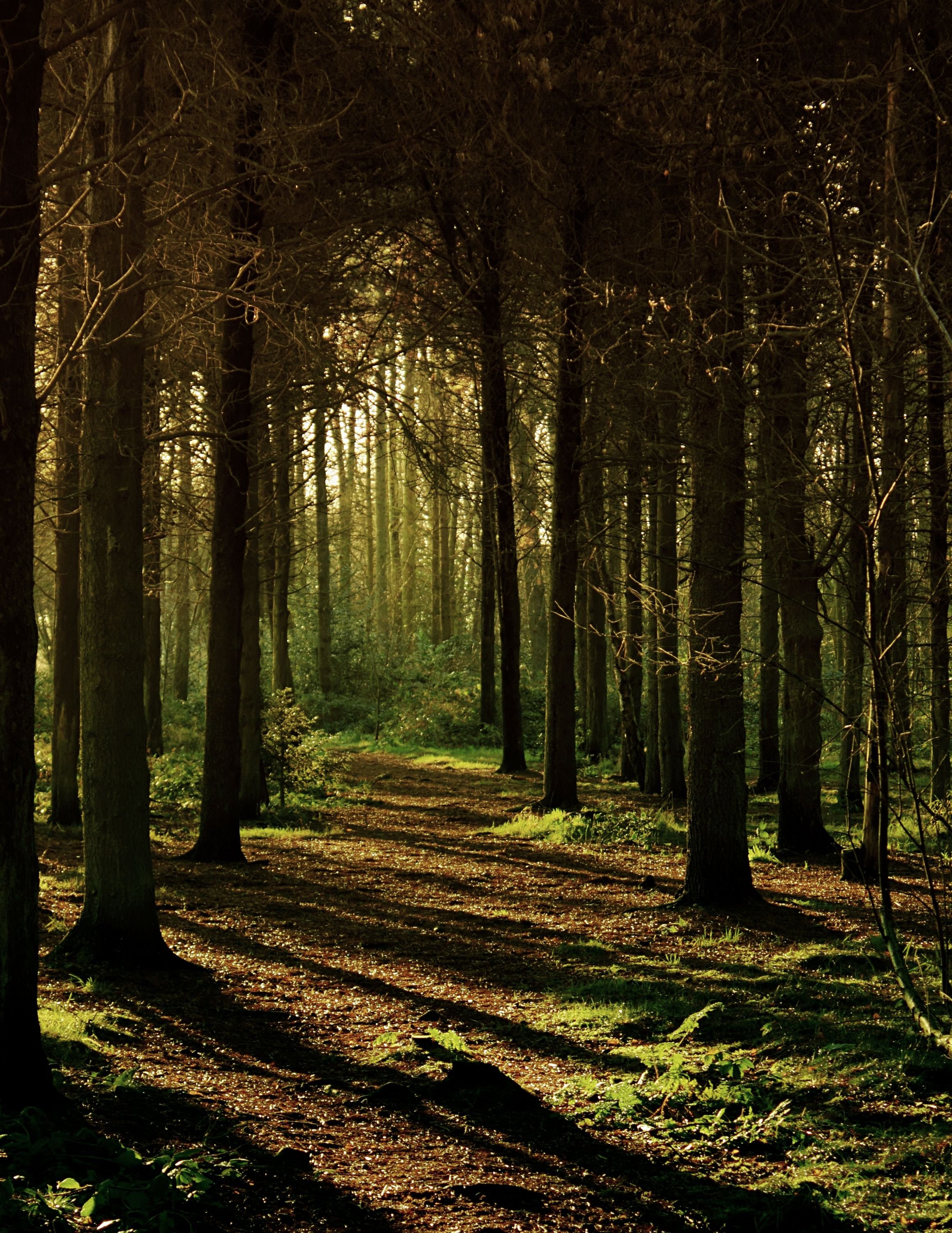 Meeteetse Messenger - April 22, 2026