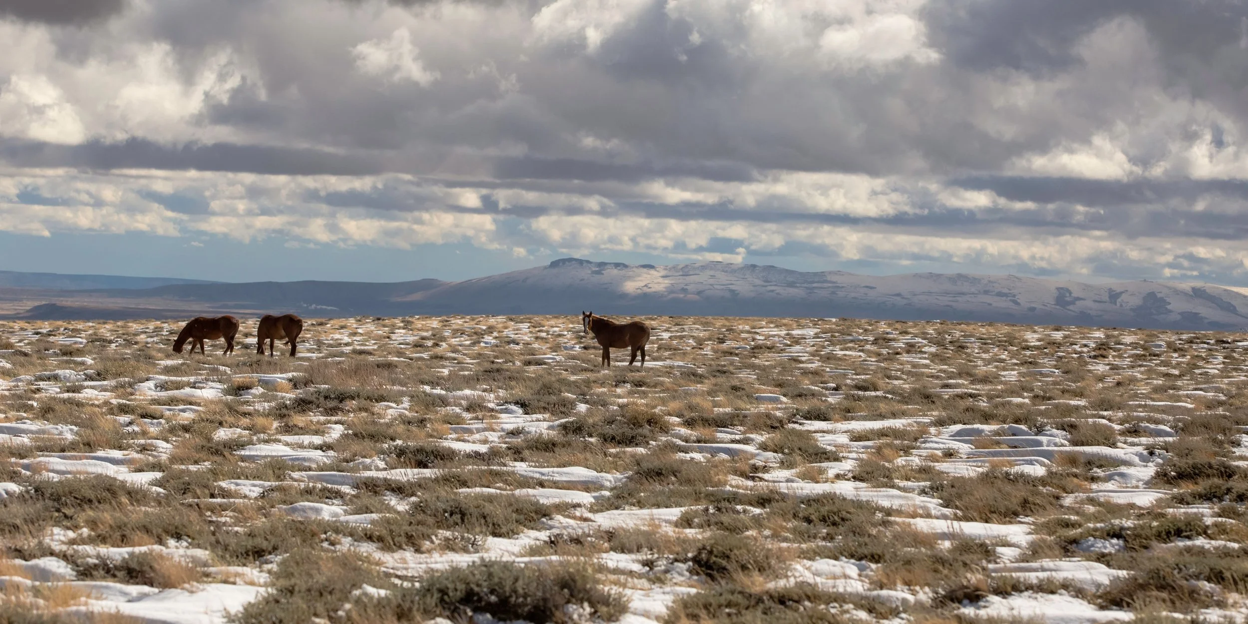 Meeteetse Visitor Center