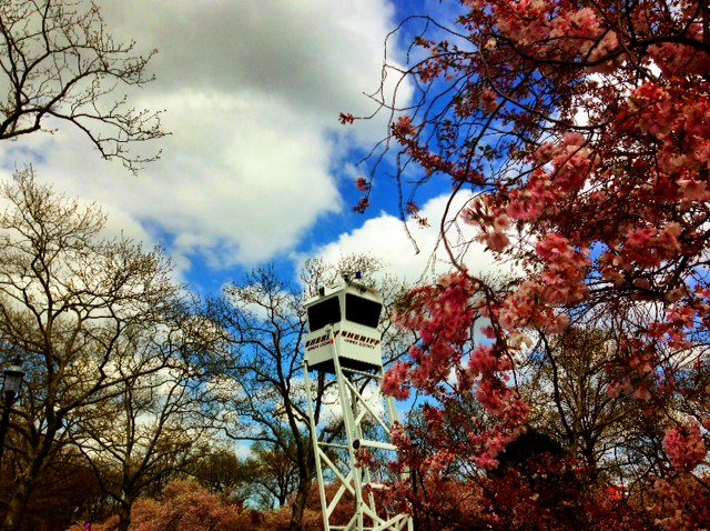 tower.jpeg