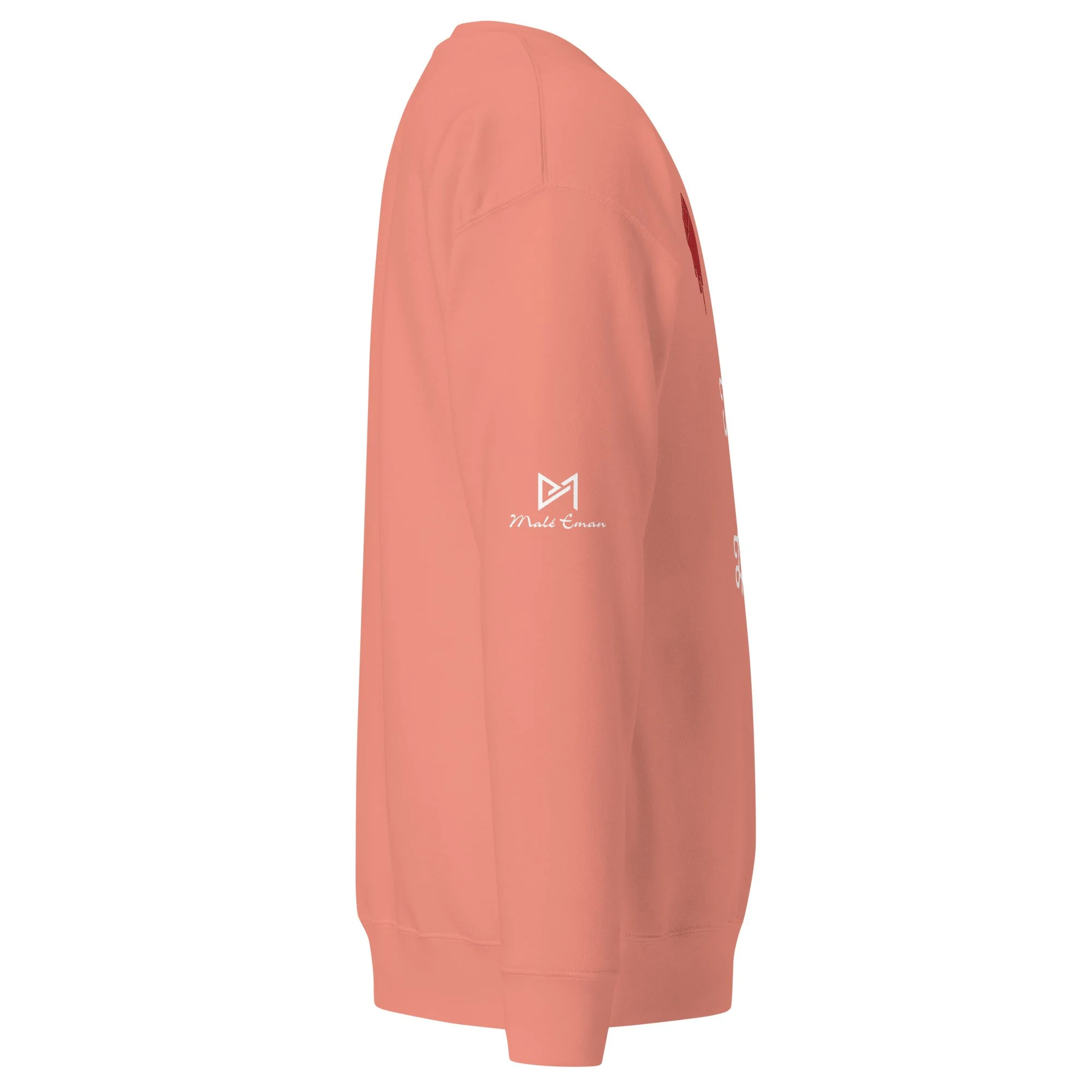unisex-premium-sweatshirt-dusty-rose-right-64d3bd62ee18b.jpg
