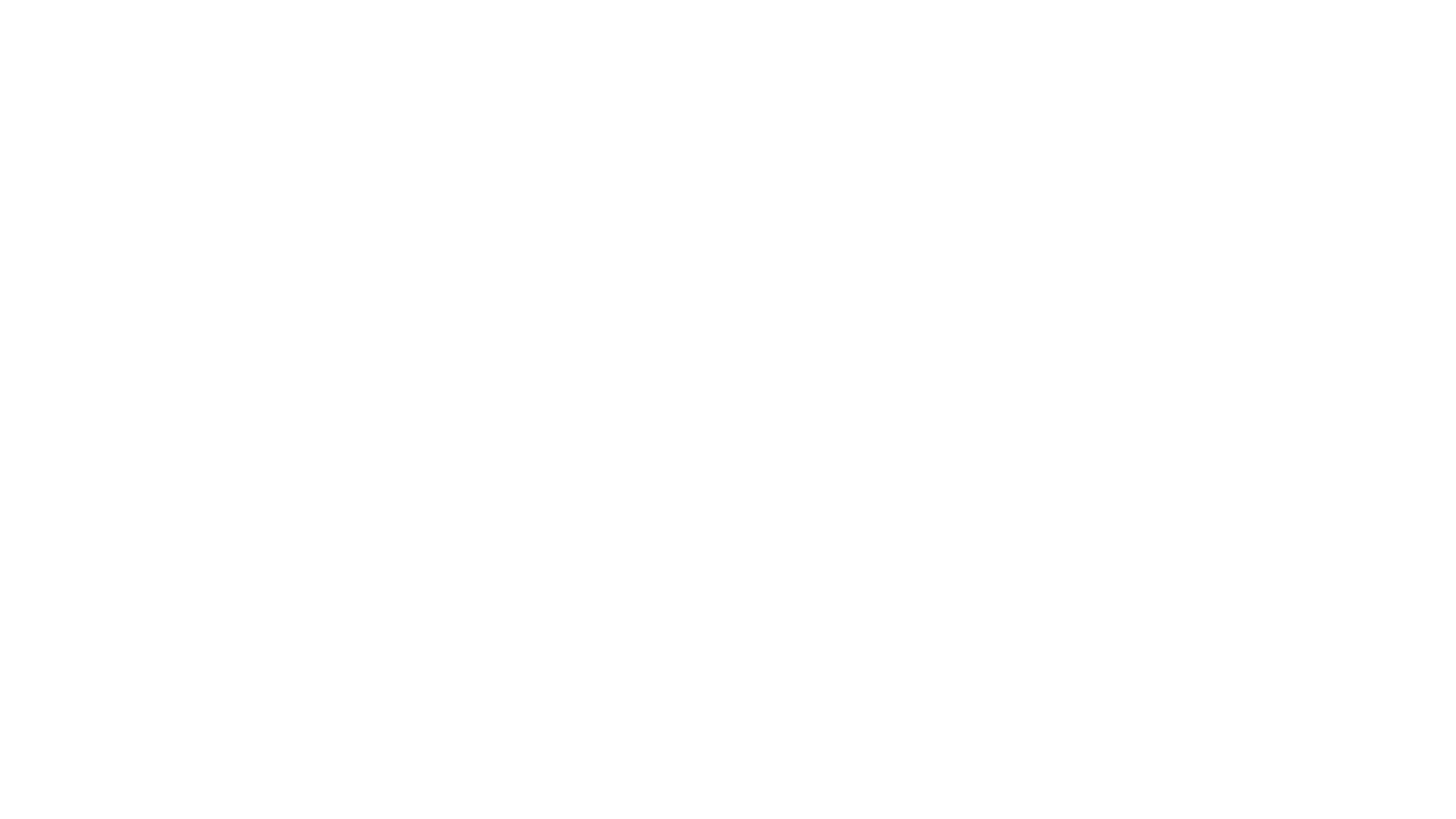 Dragons and Fairies Orlando