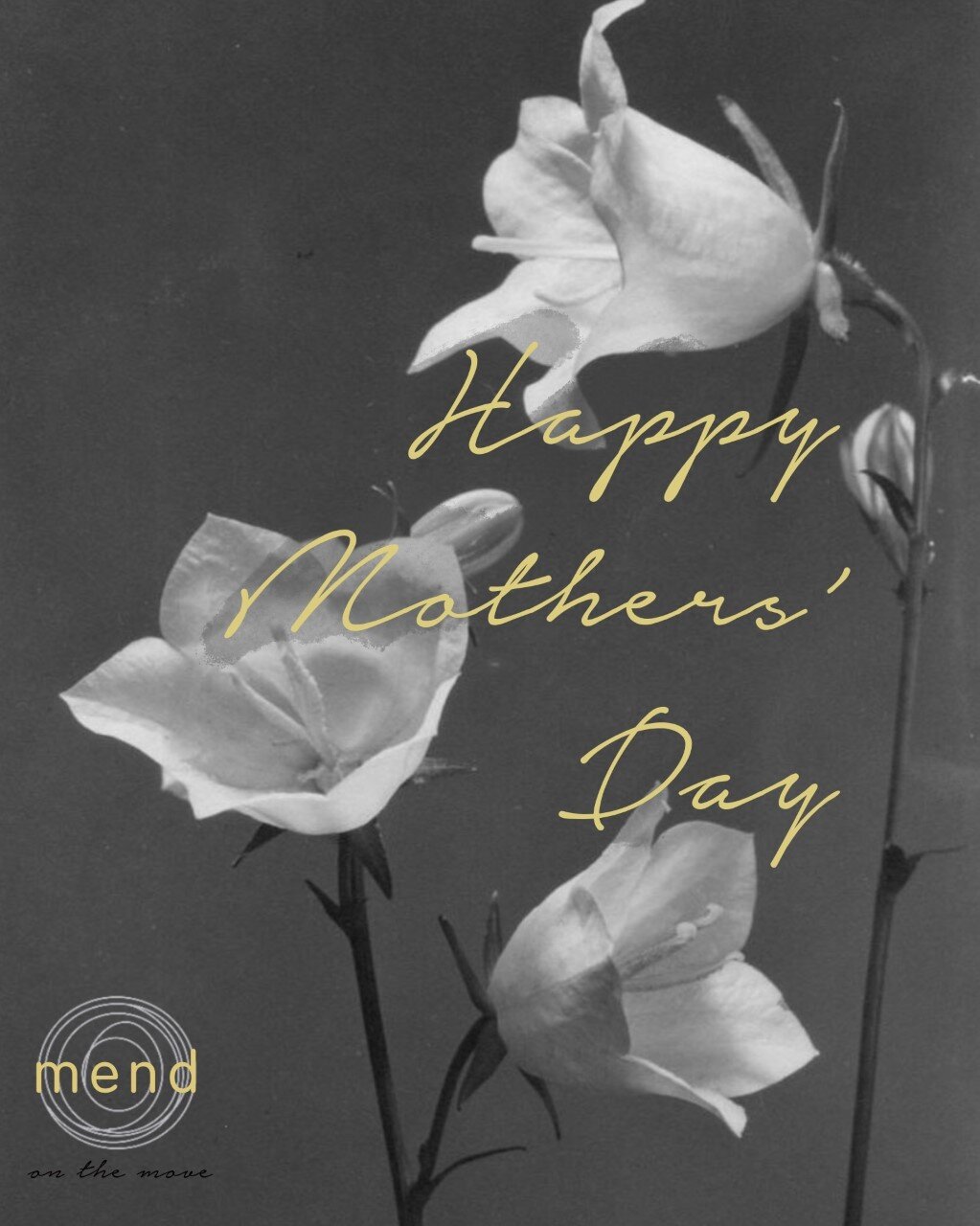 &quot;A mother is she who can take the place of all others but whose place no one else can take.&quot;

Happy Mothers' Day to you all who have such an important role, and yet fill so many other roles at once. You are truly irreplaceable, we see you a