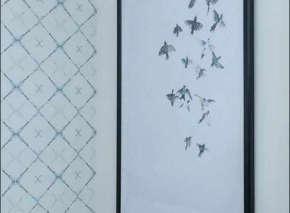 The "Myths" of Home Design