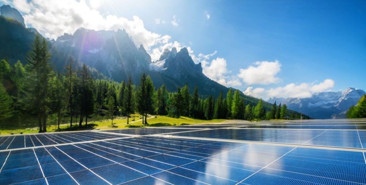 Verdani Vitals: 2021 Summer Newsletter
