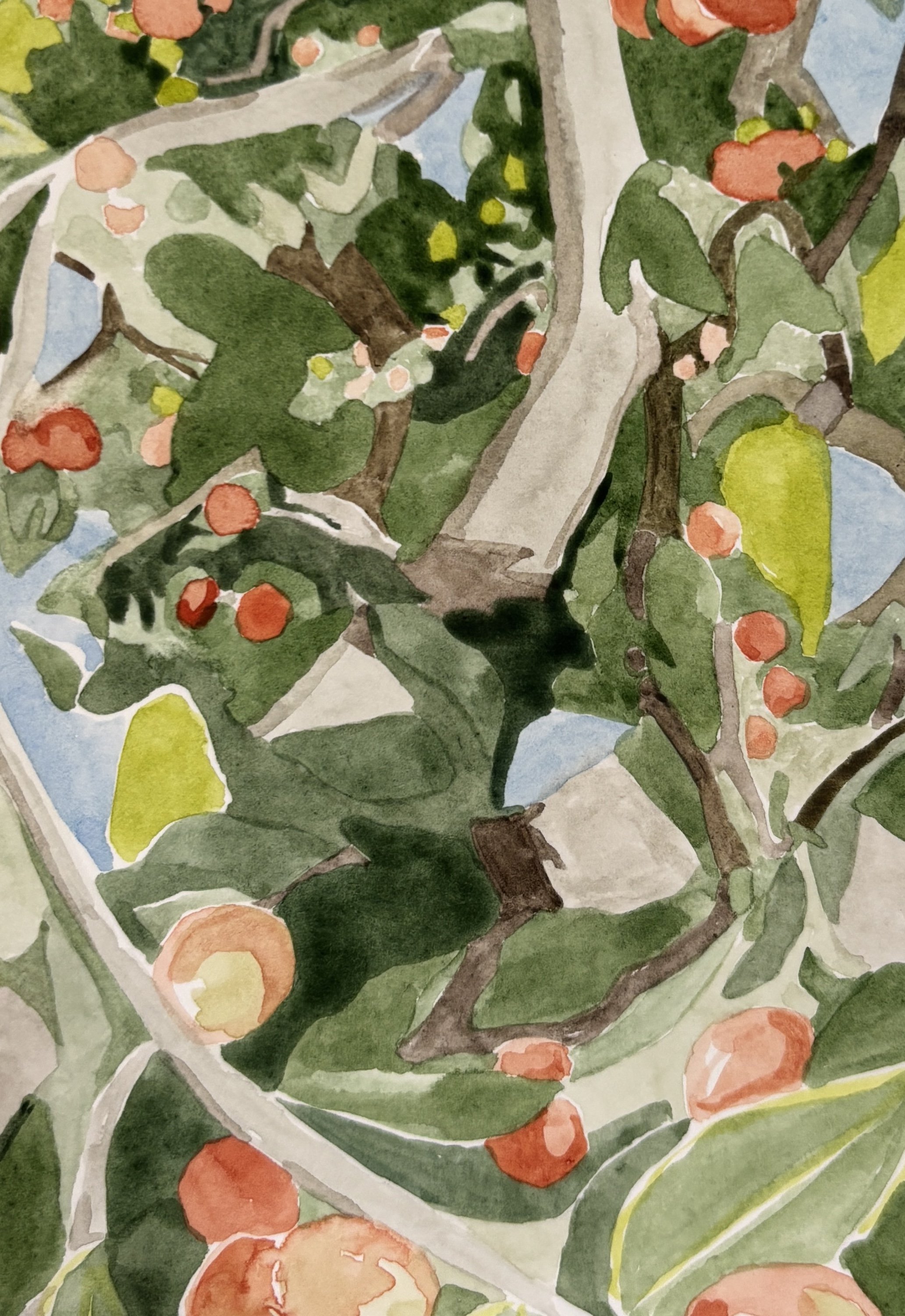 Persimmons-detail2.jpg