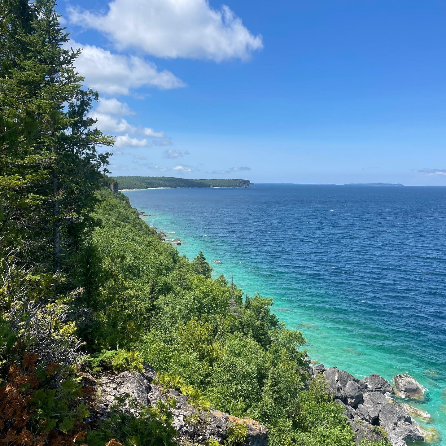 Nothing like camping in the Bruce Peninsula to get inspired 🌲 🌊 💚 I&rsquo;m looking forward to making some new paintings using shapes and colors from my recent backpacking trip &mdash; more soon!

#brucepeninsula 
#brucepeninsulanationalpark 
#tob