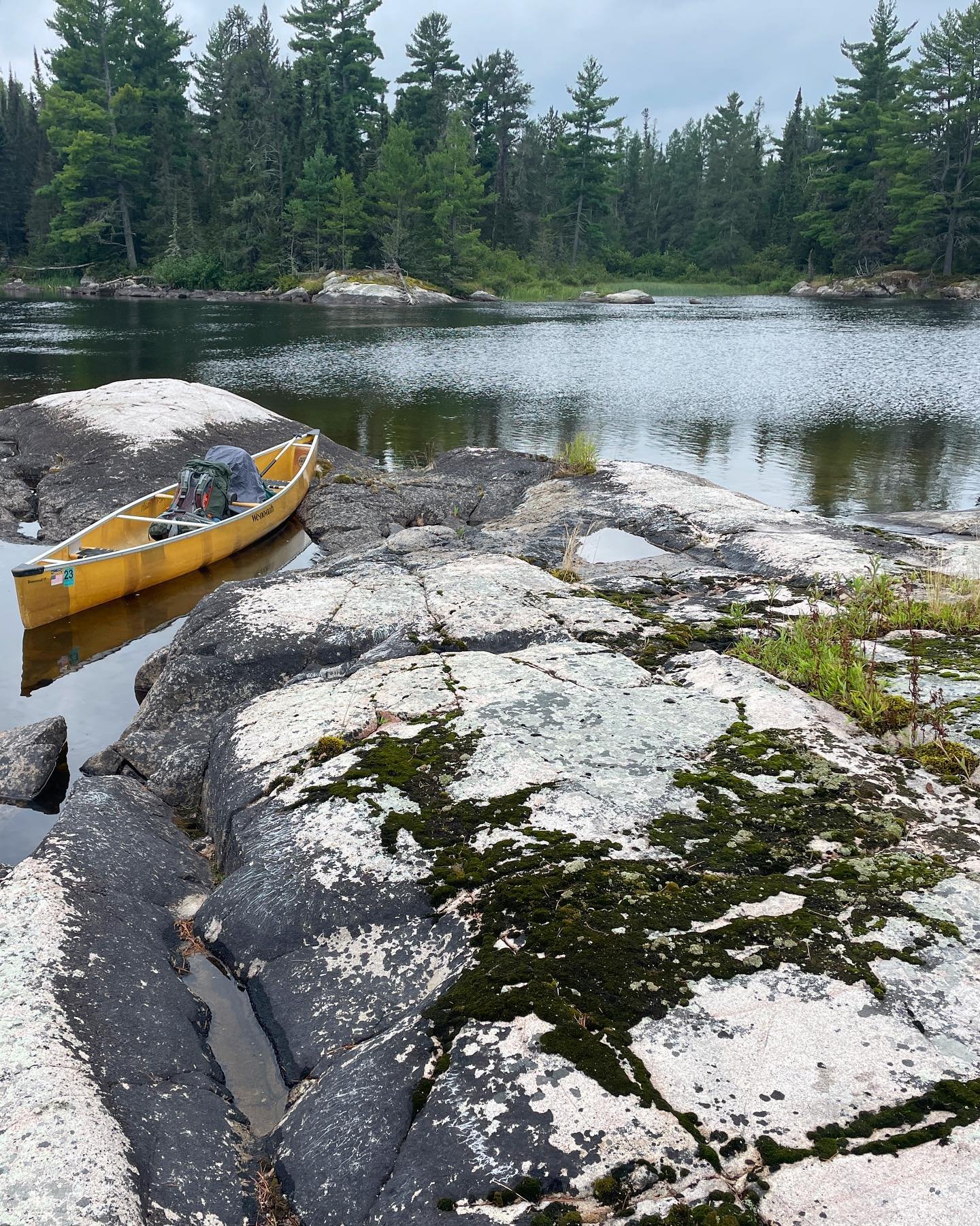 Quetico, August 2023
Swipe all the way to the end for 🦢 💫 

#queticoprovincialpark #quetico 
#canoe #landscapesofcanada