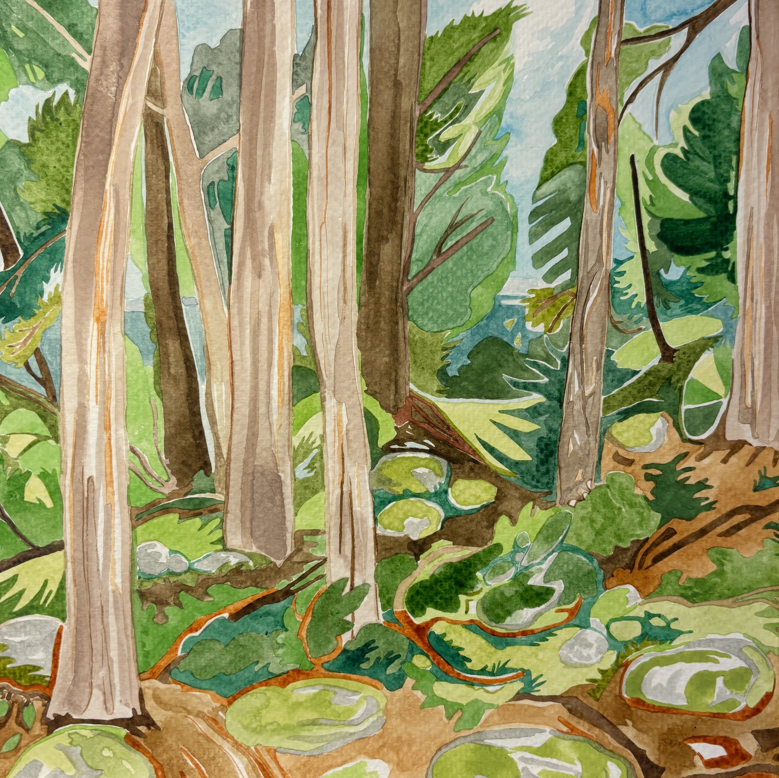 View from the cabin.jpg