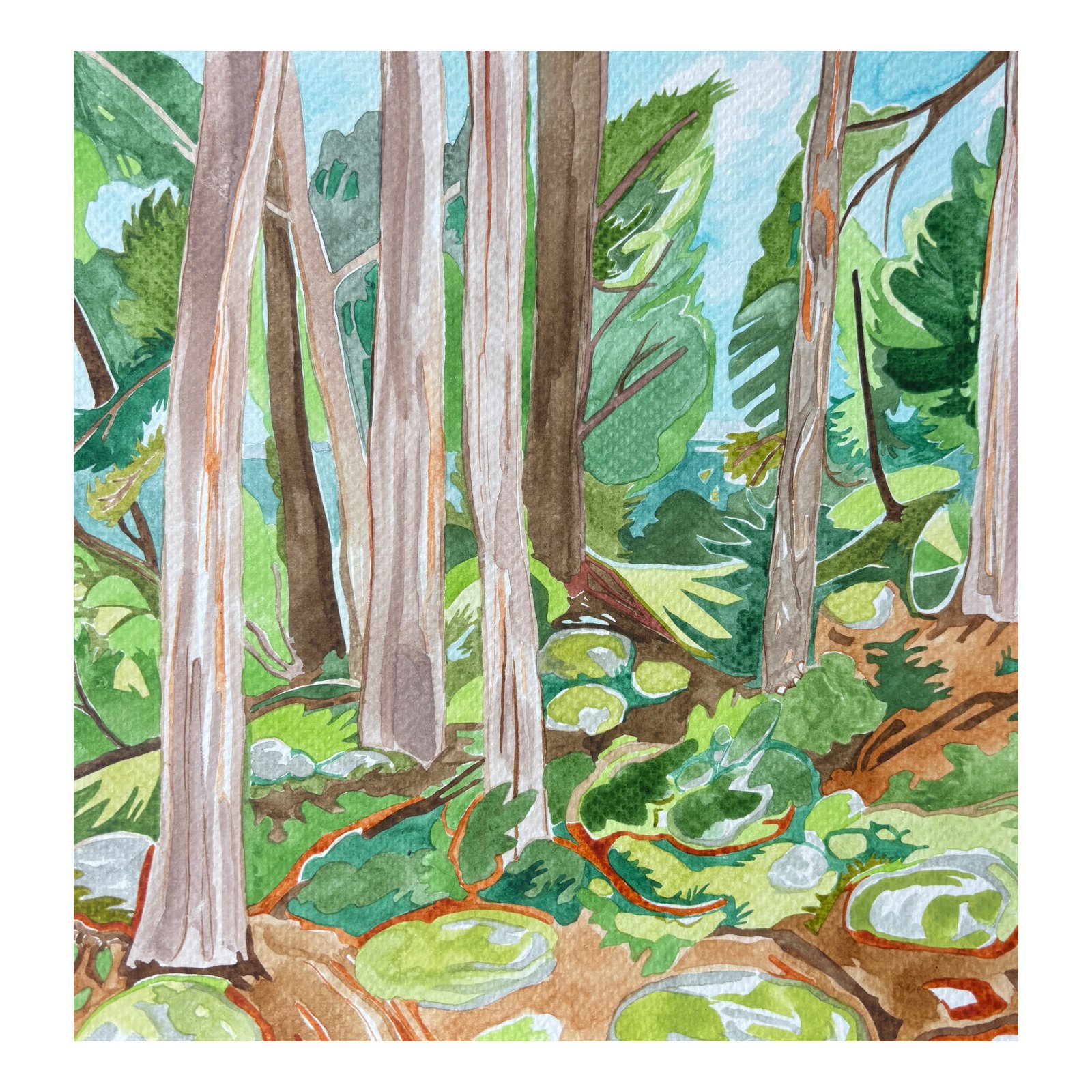 Viewfromthecabin_border.jpeg